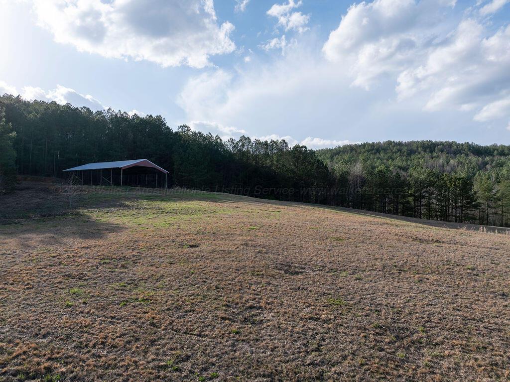 15201 CO RD 63