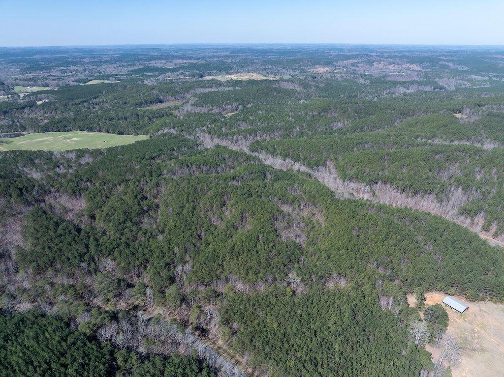 15201 CO RD 63