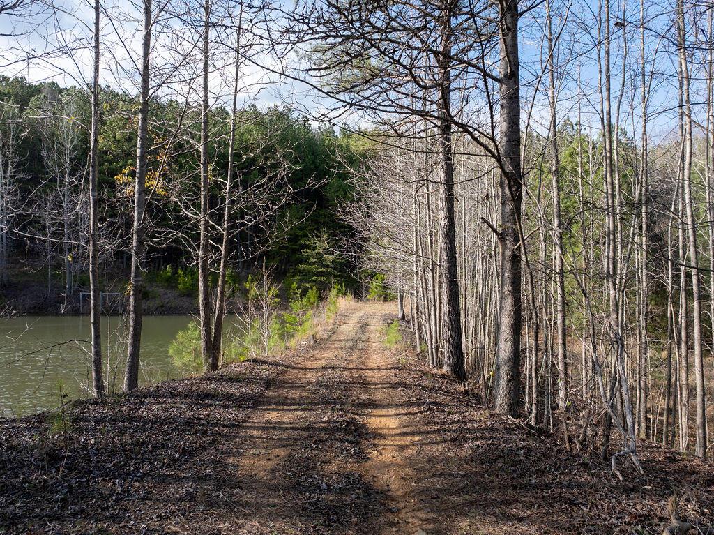 15201 CO RD 63