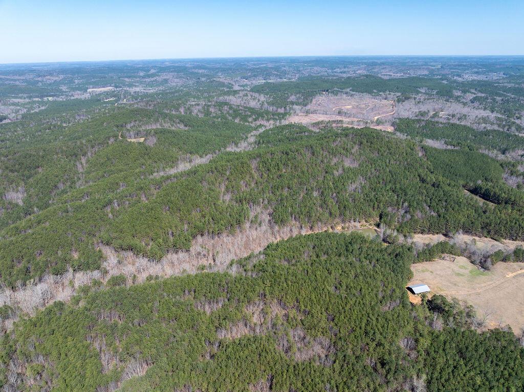 15201 CO RD 63