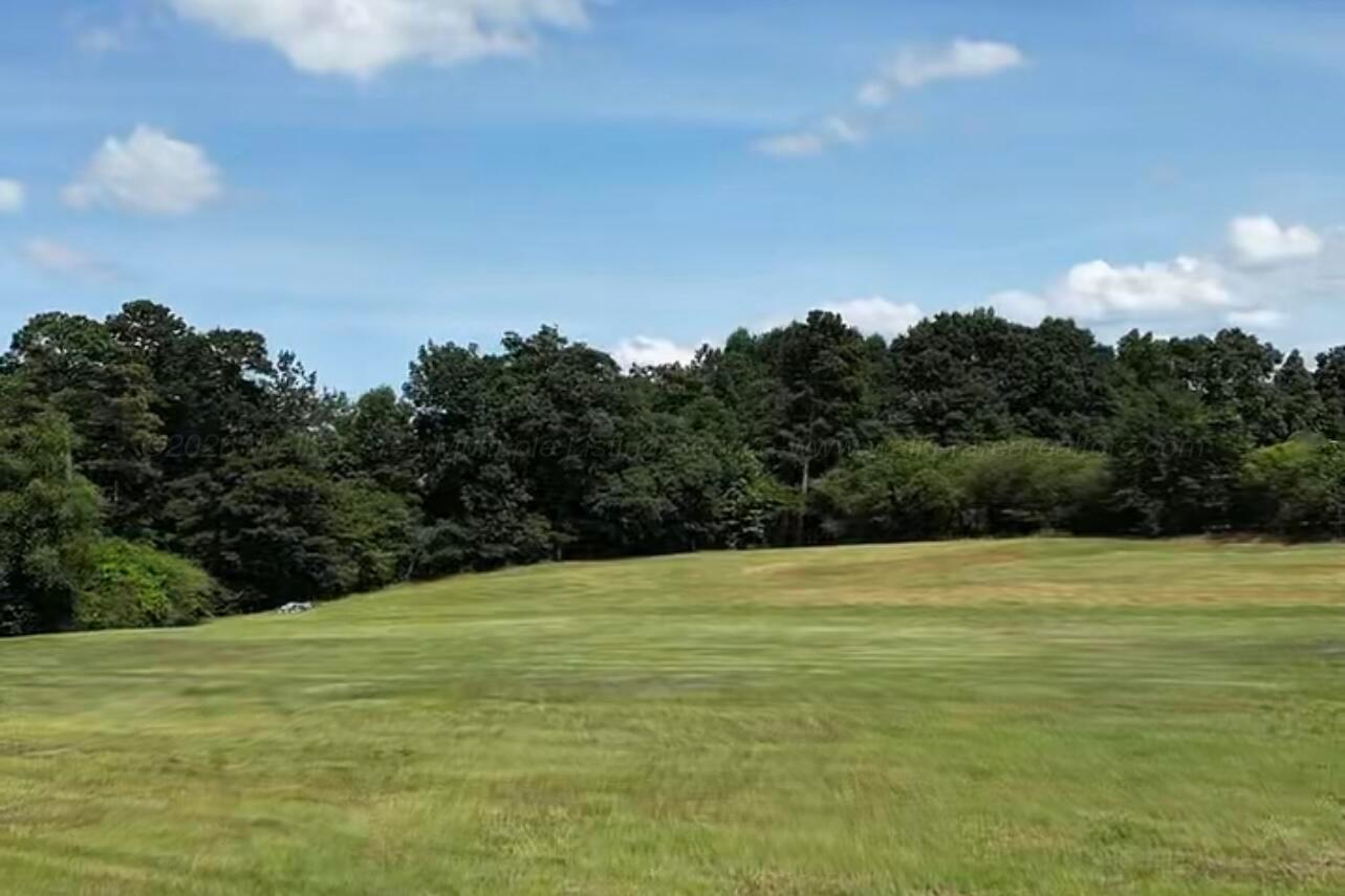 26140 ALABAMA 69