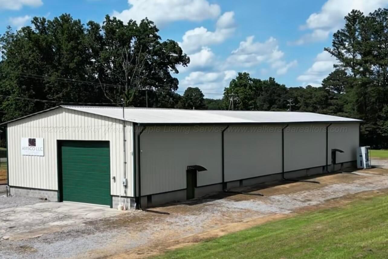 26140 ALABAMA 69