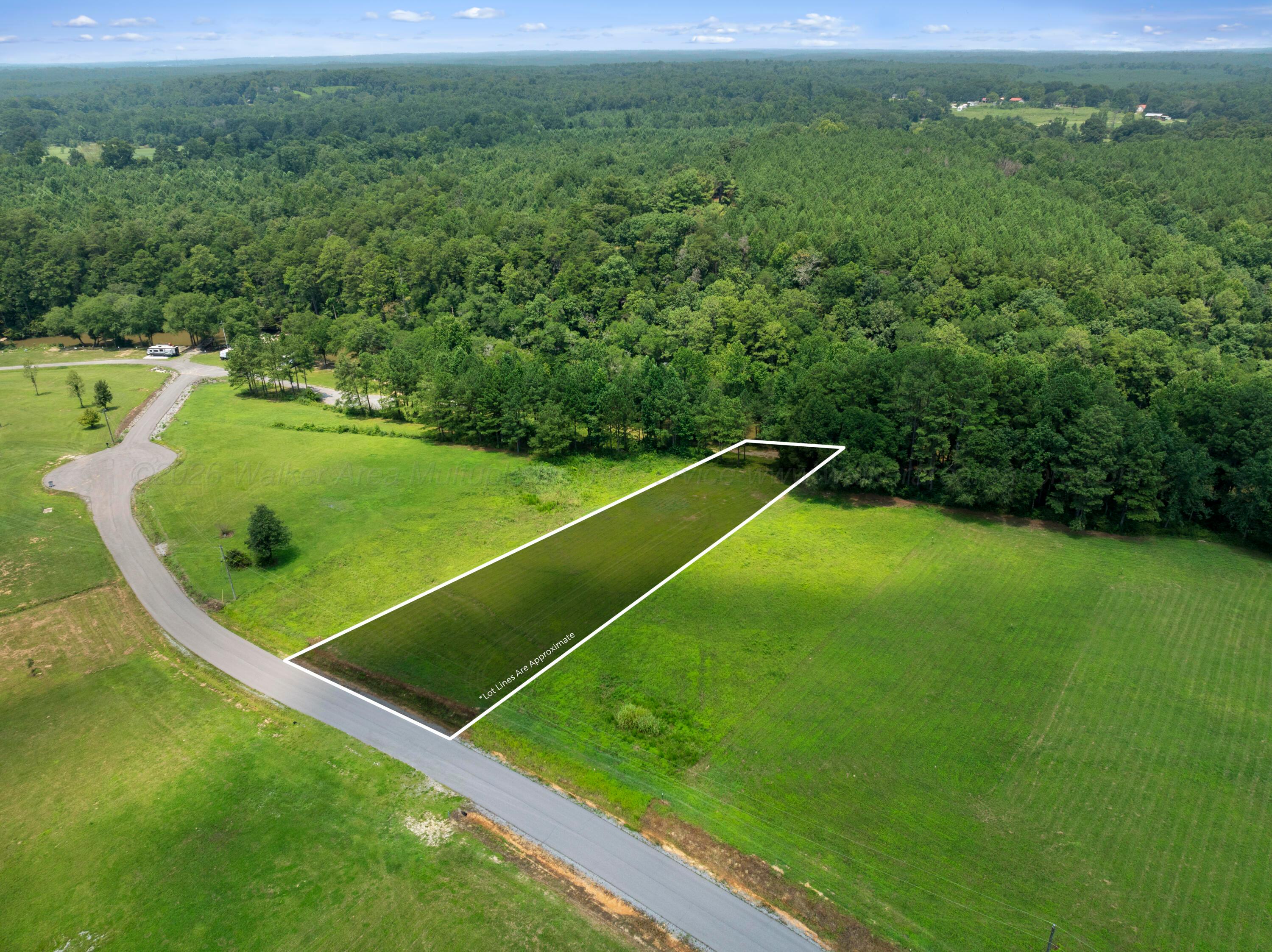 241 BLUEGRASS Ln