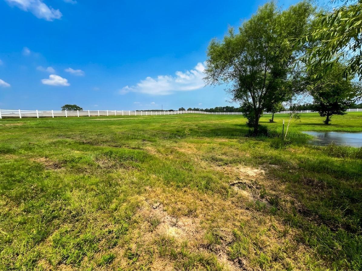 241 BLUEGRASS Ln