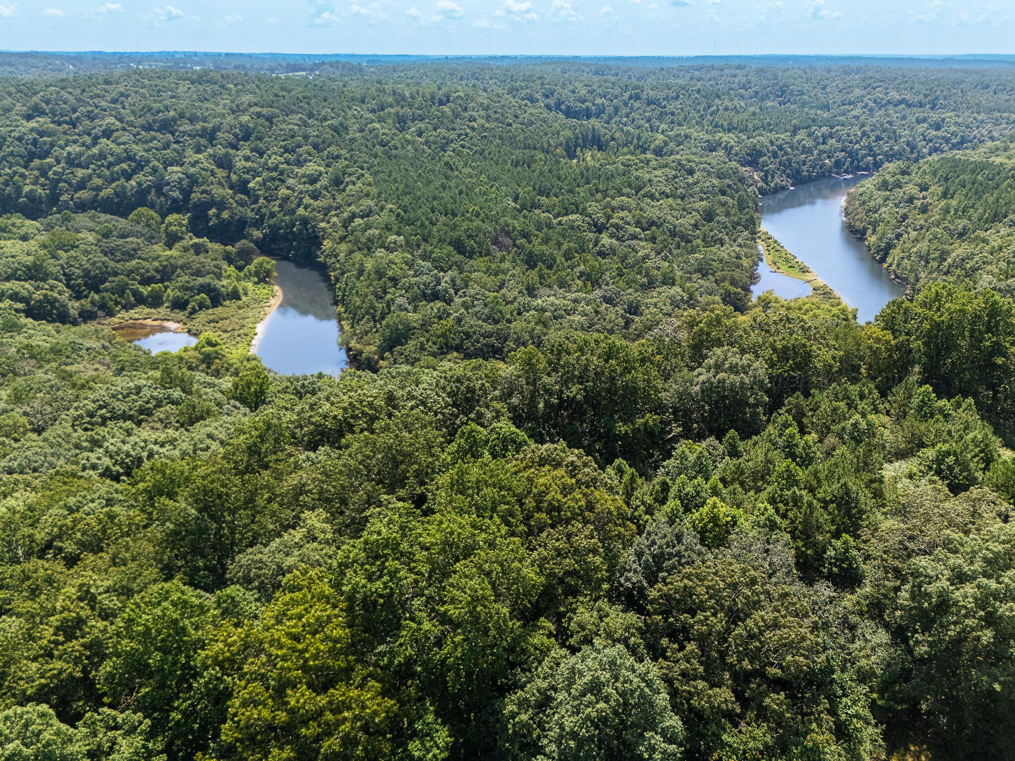 0 COUNTY ROAD 3905
