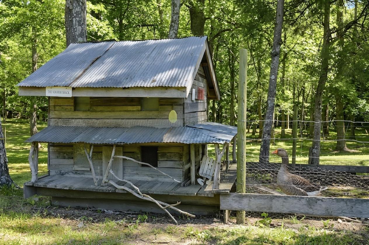 979 COUNTY ROAD 55