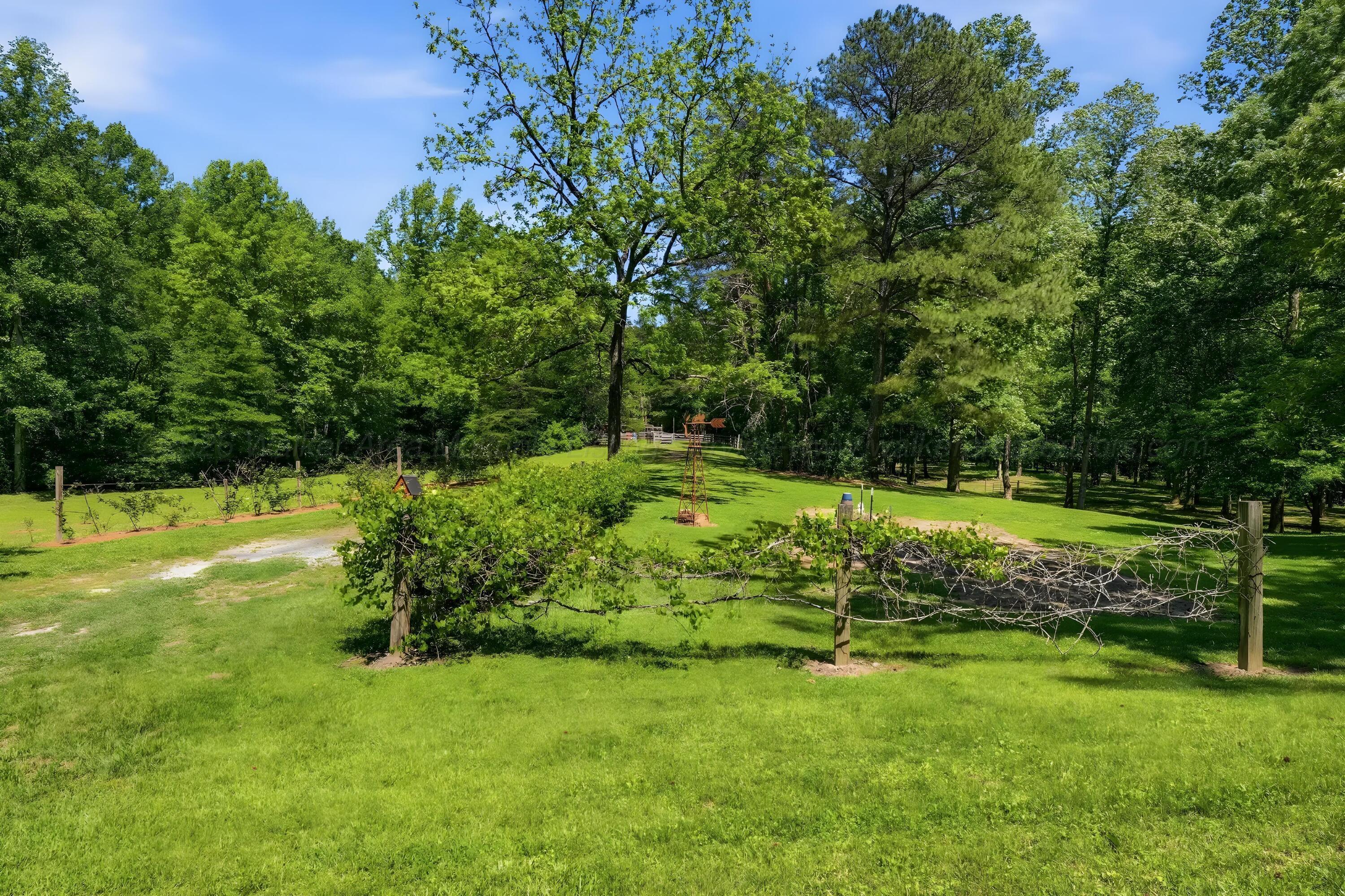 979 COUNTY ROAD 55