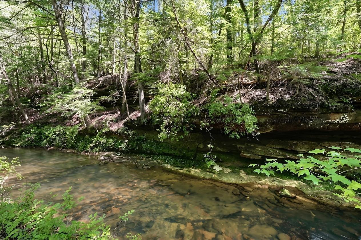 979 COUNTY ROAD 55