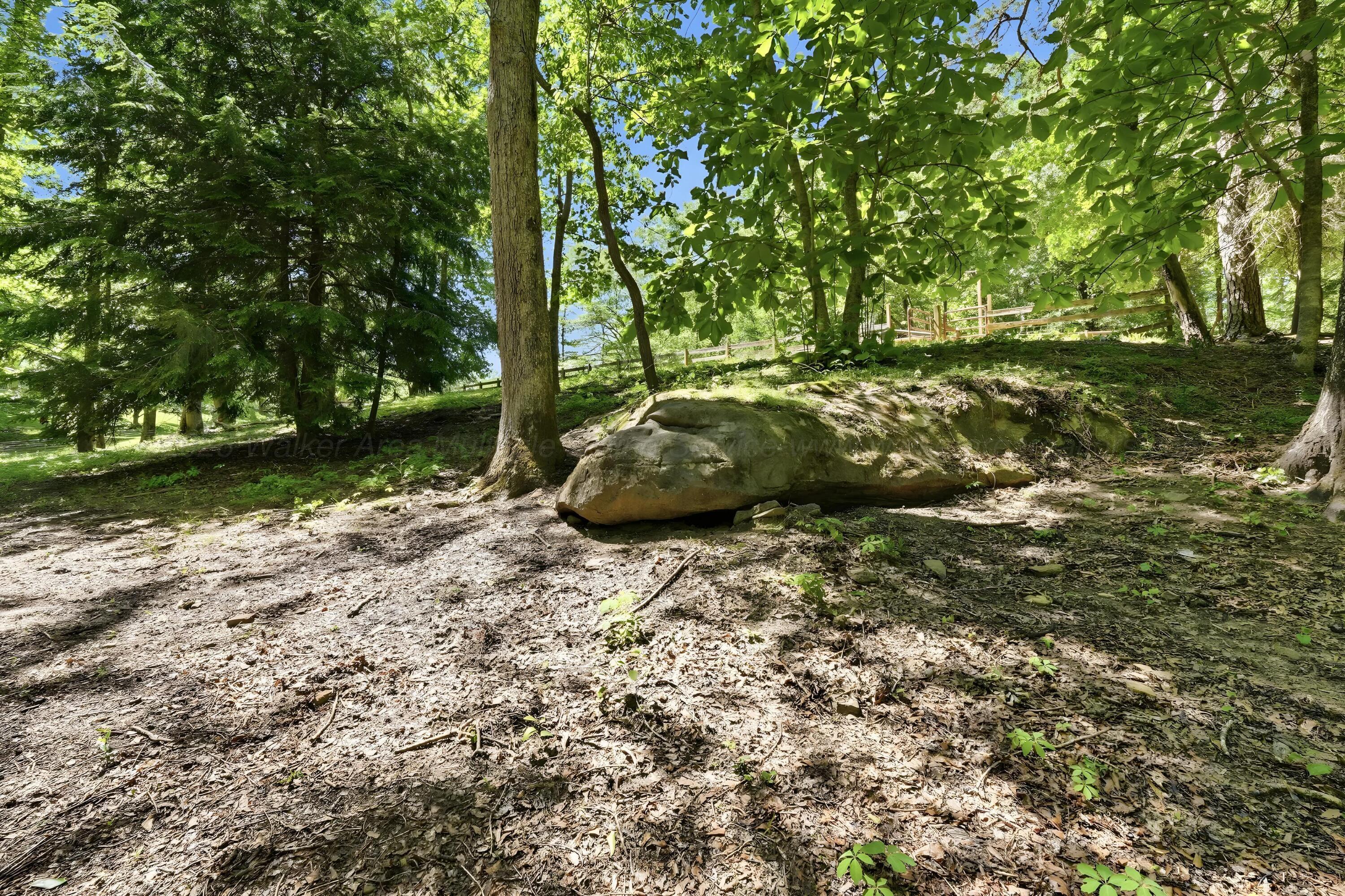 979 COUNTY ROAD 55