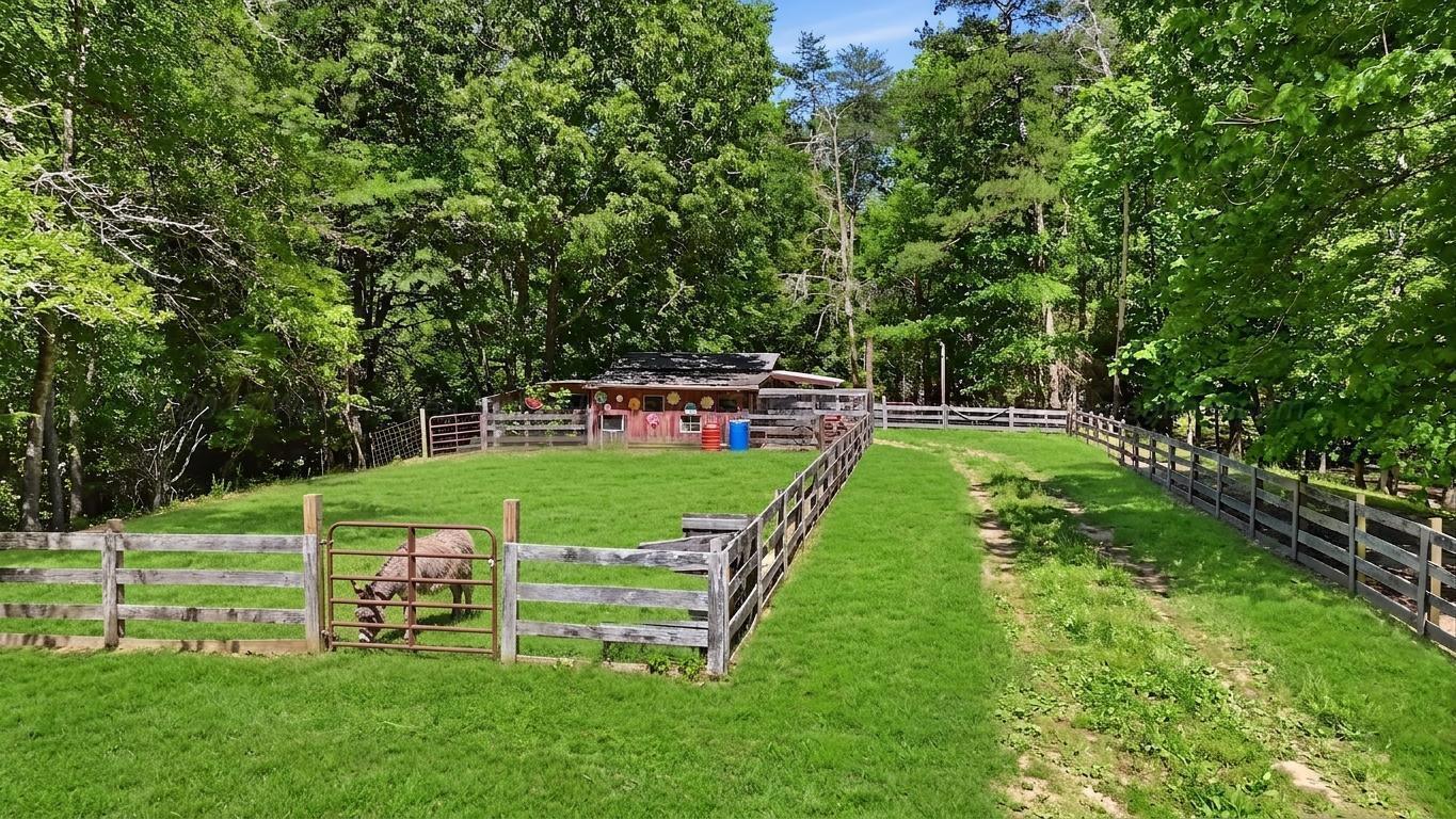 979 COUNTY ROAD 55