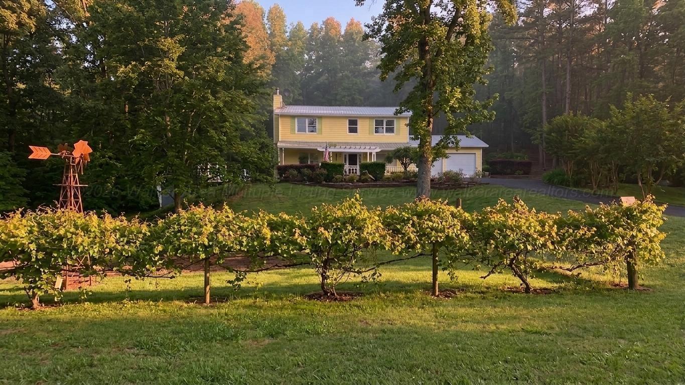 979 COUNTY ROAD 55
