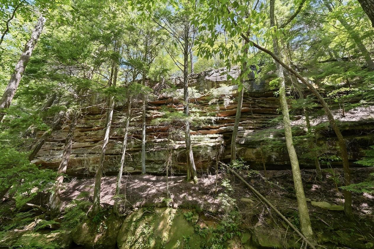 979 COUNTY ROAD 55