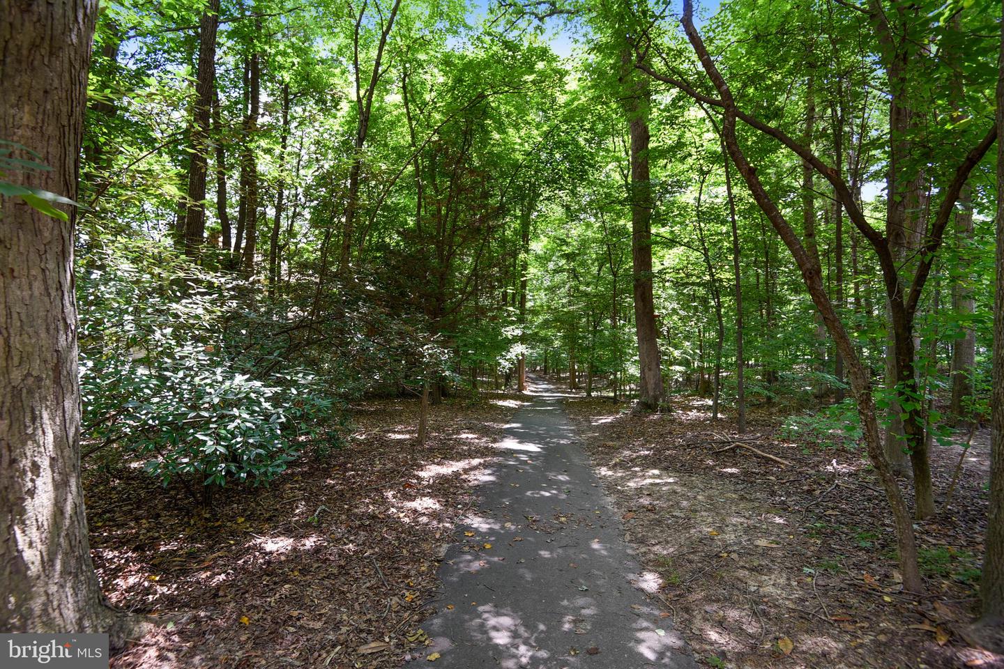 12161 Darnley Rd