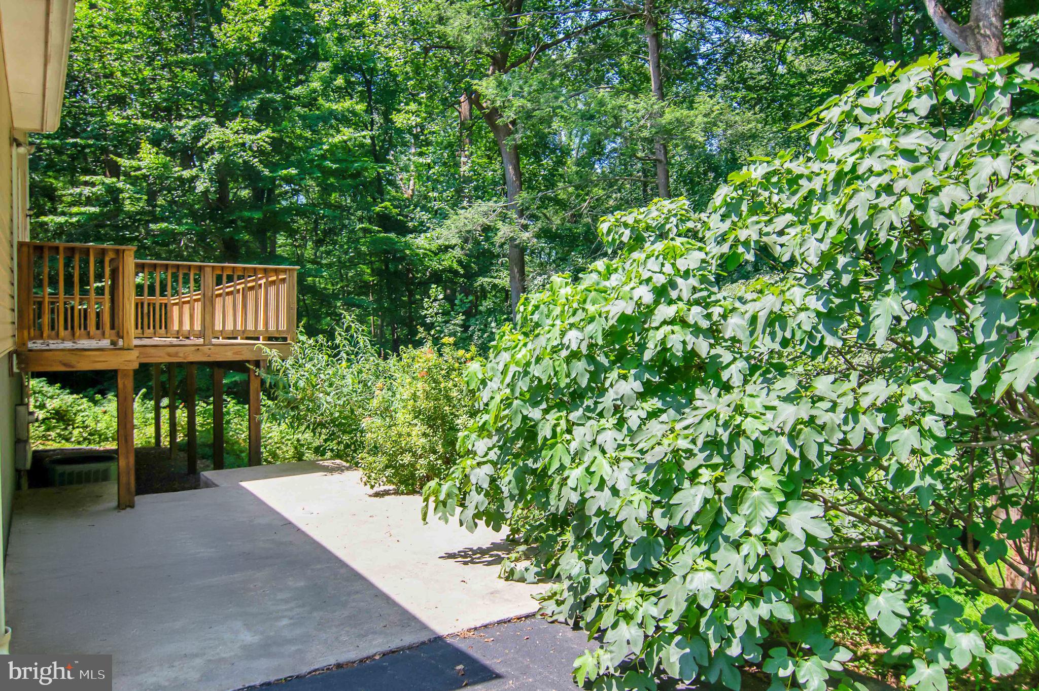 12651 Peak Ct