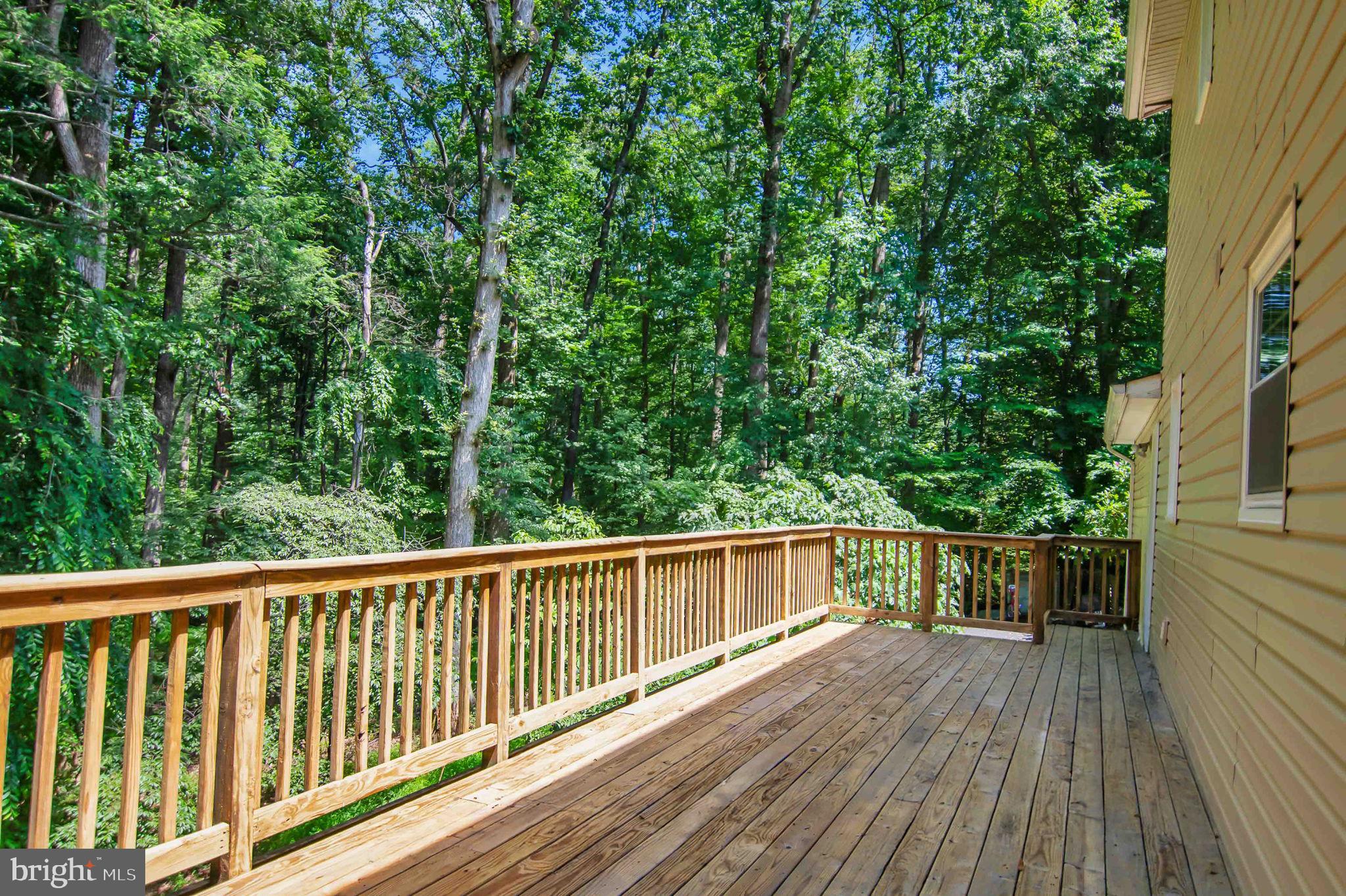 12651 Peak Ct