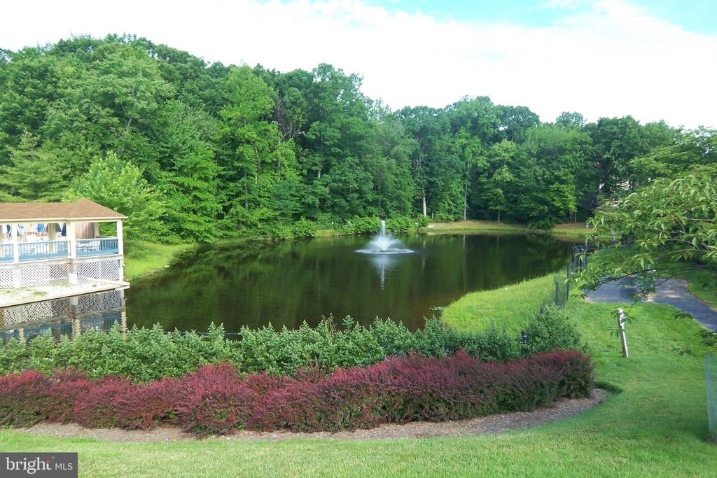 12692 CATAWBA DR