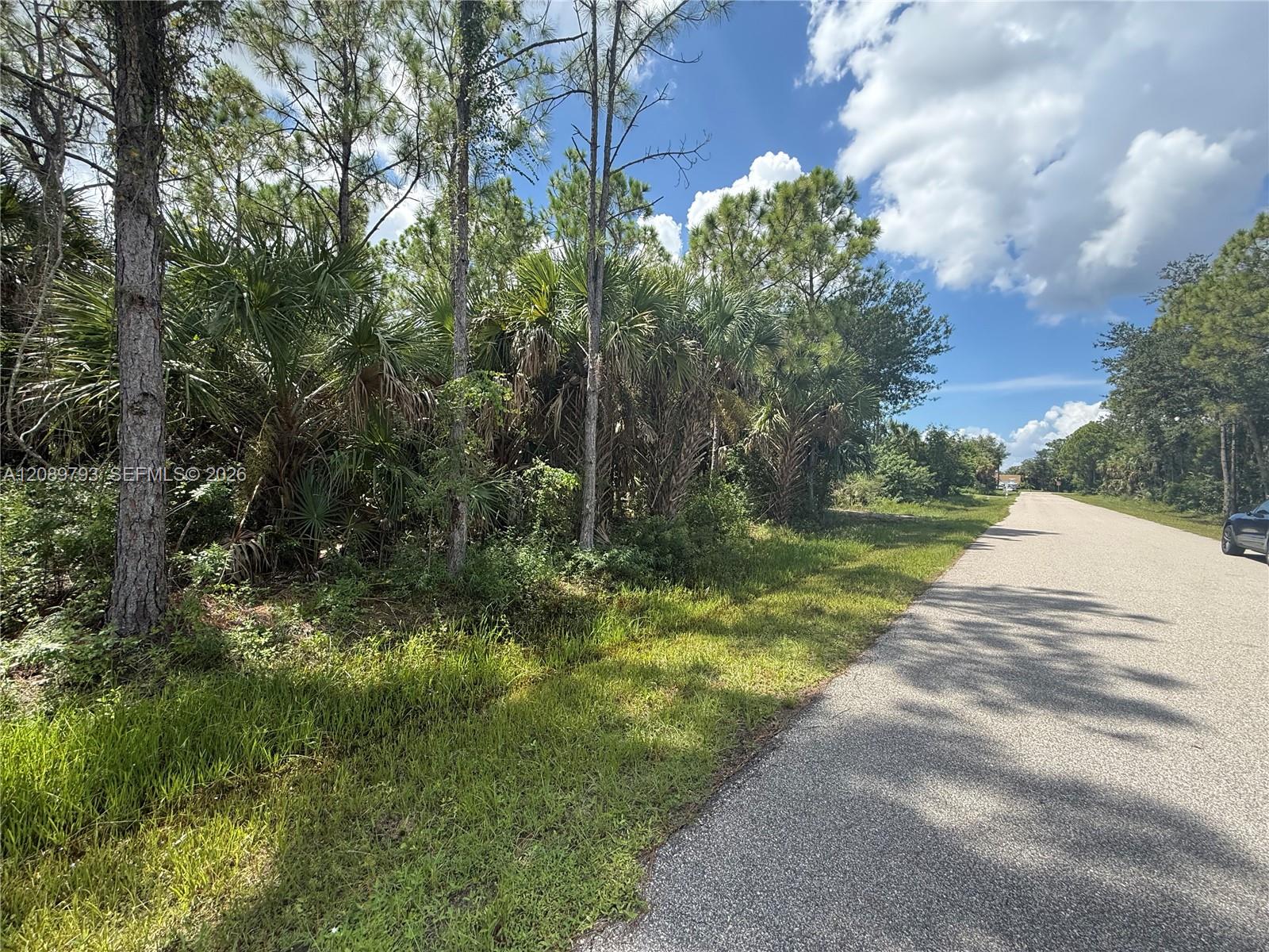 Punta Gorda