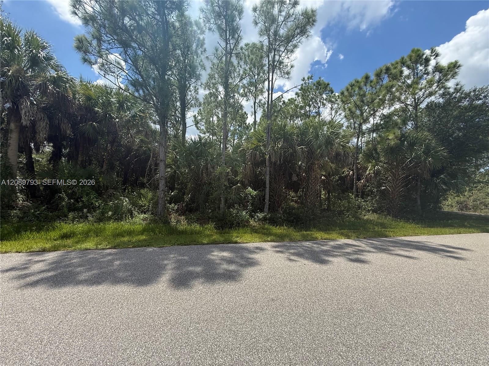 Punta Gorda