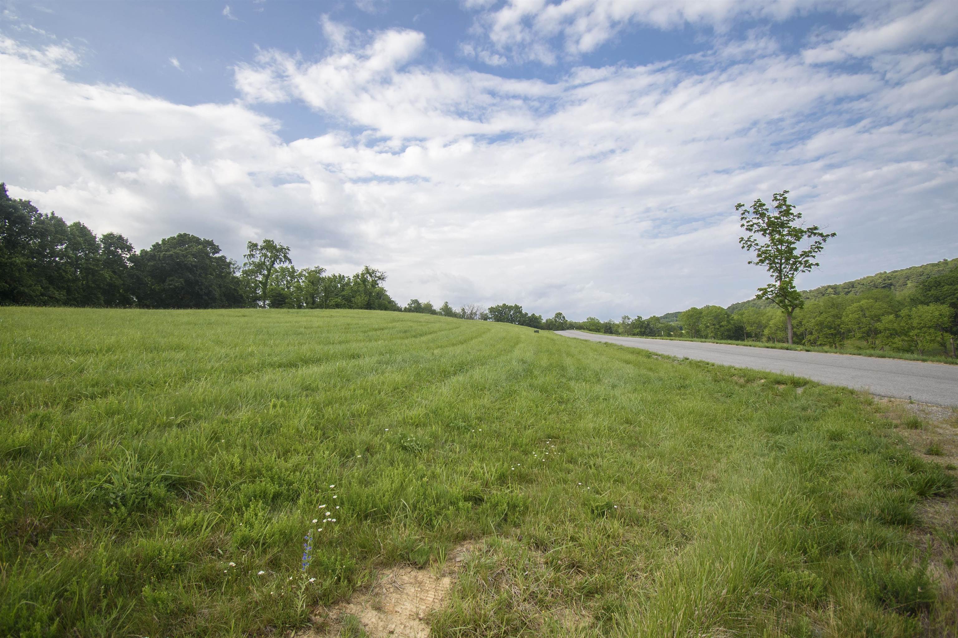 TBD Tanager LOT 12 Cove