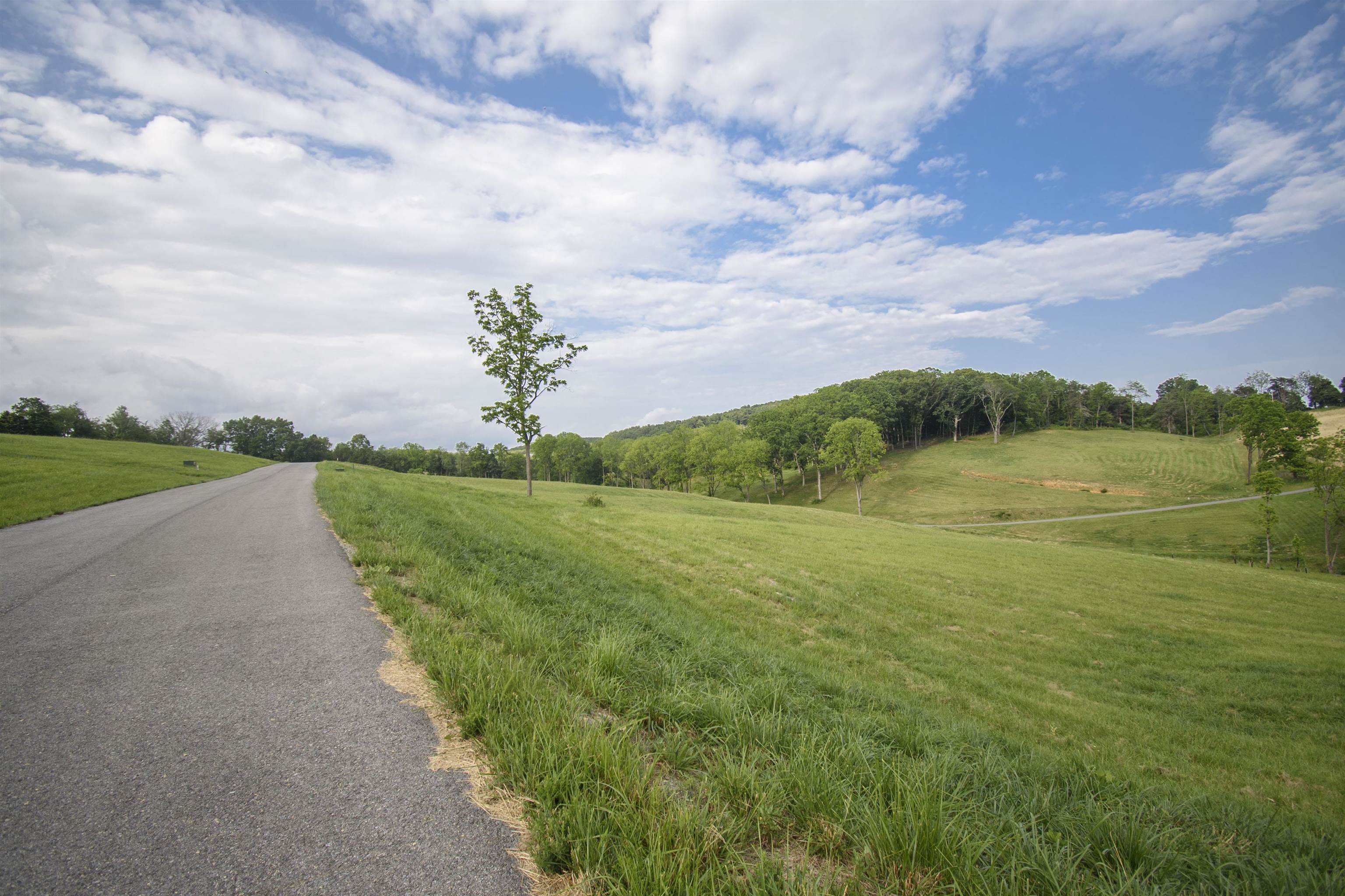 TBD Tanager LOT 12 Cove