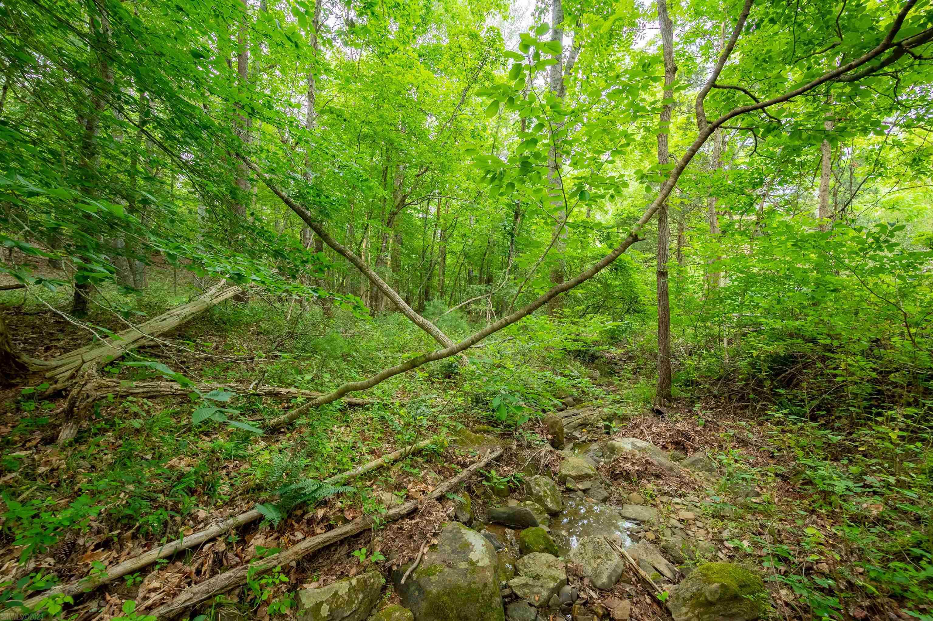 3631 MOUNT TABOR Road
