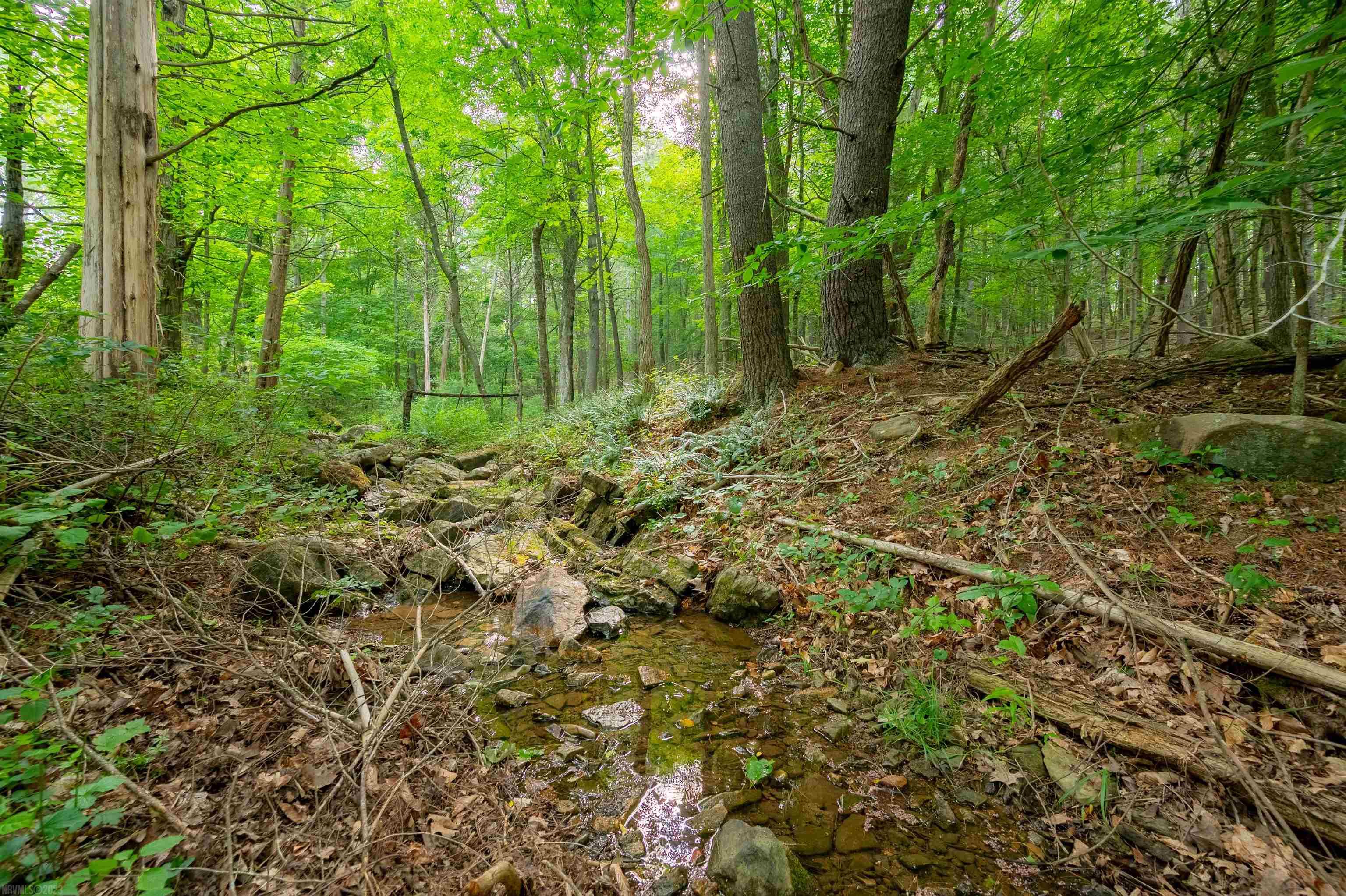 3631 MOUNT TABOR Road