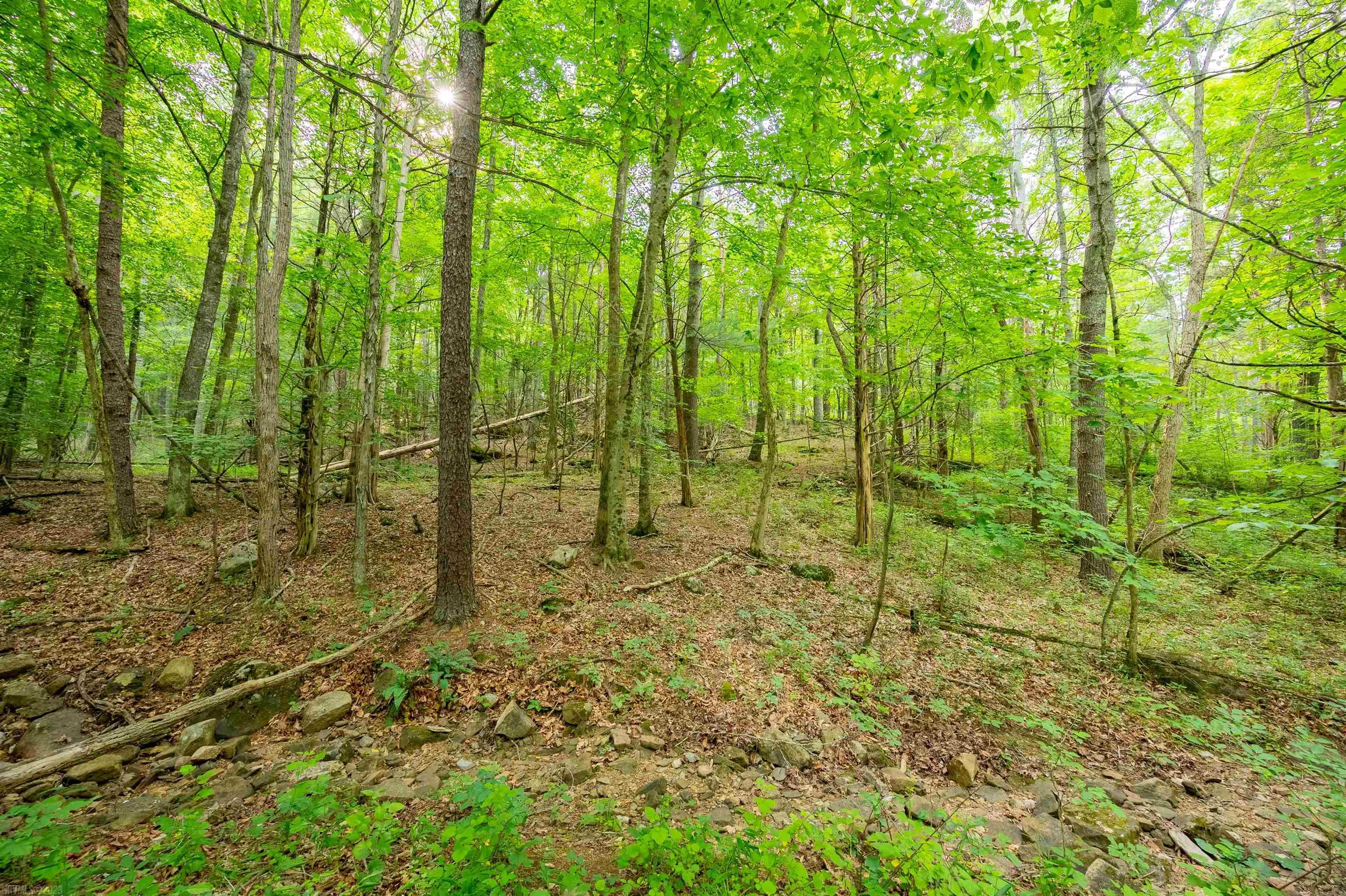3631 MOUNT TABOR Road