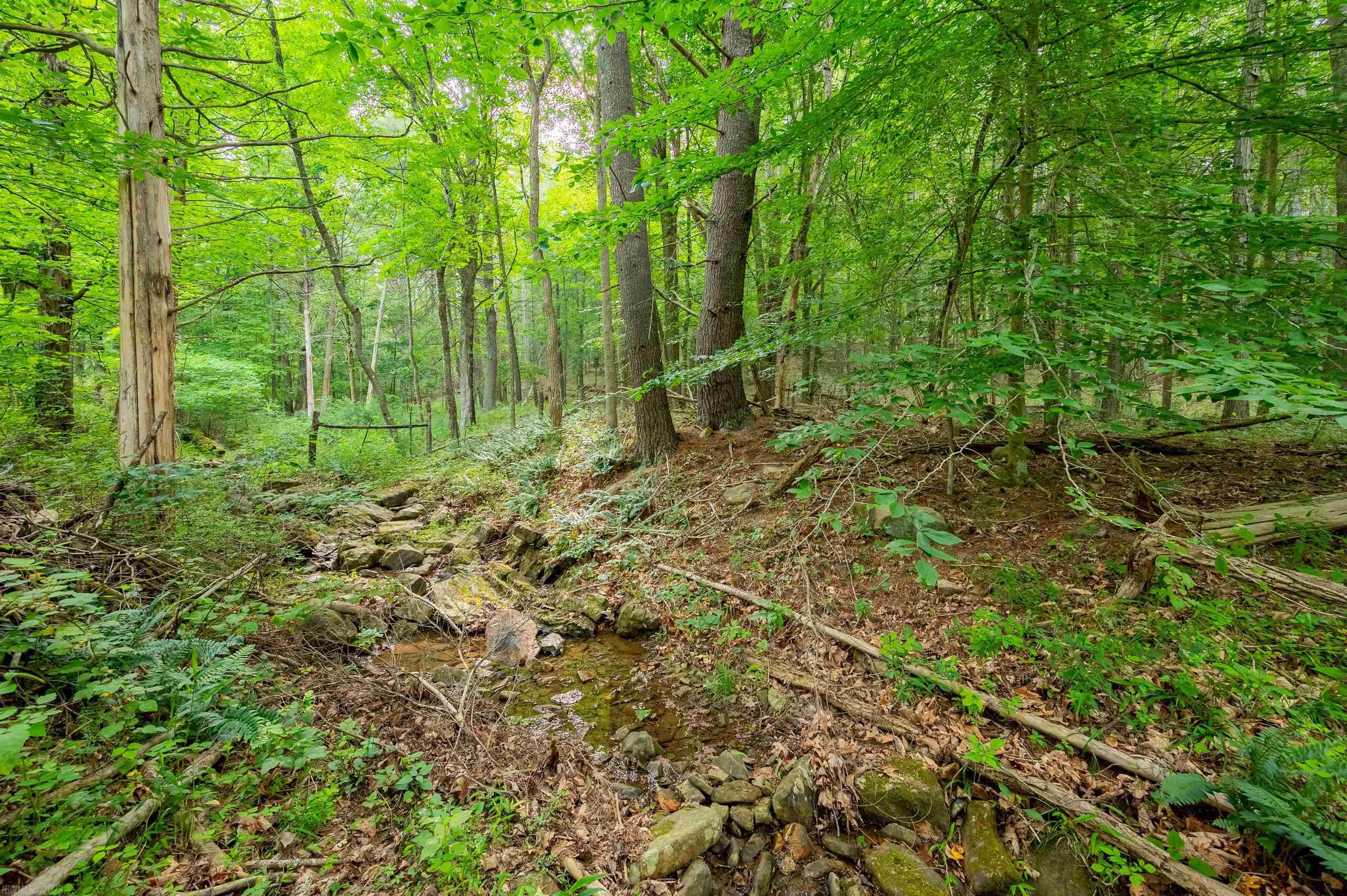 3631 MOUNT TABOR Road