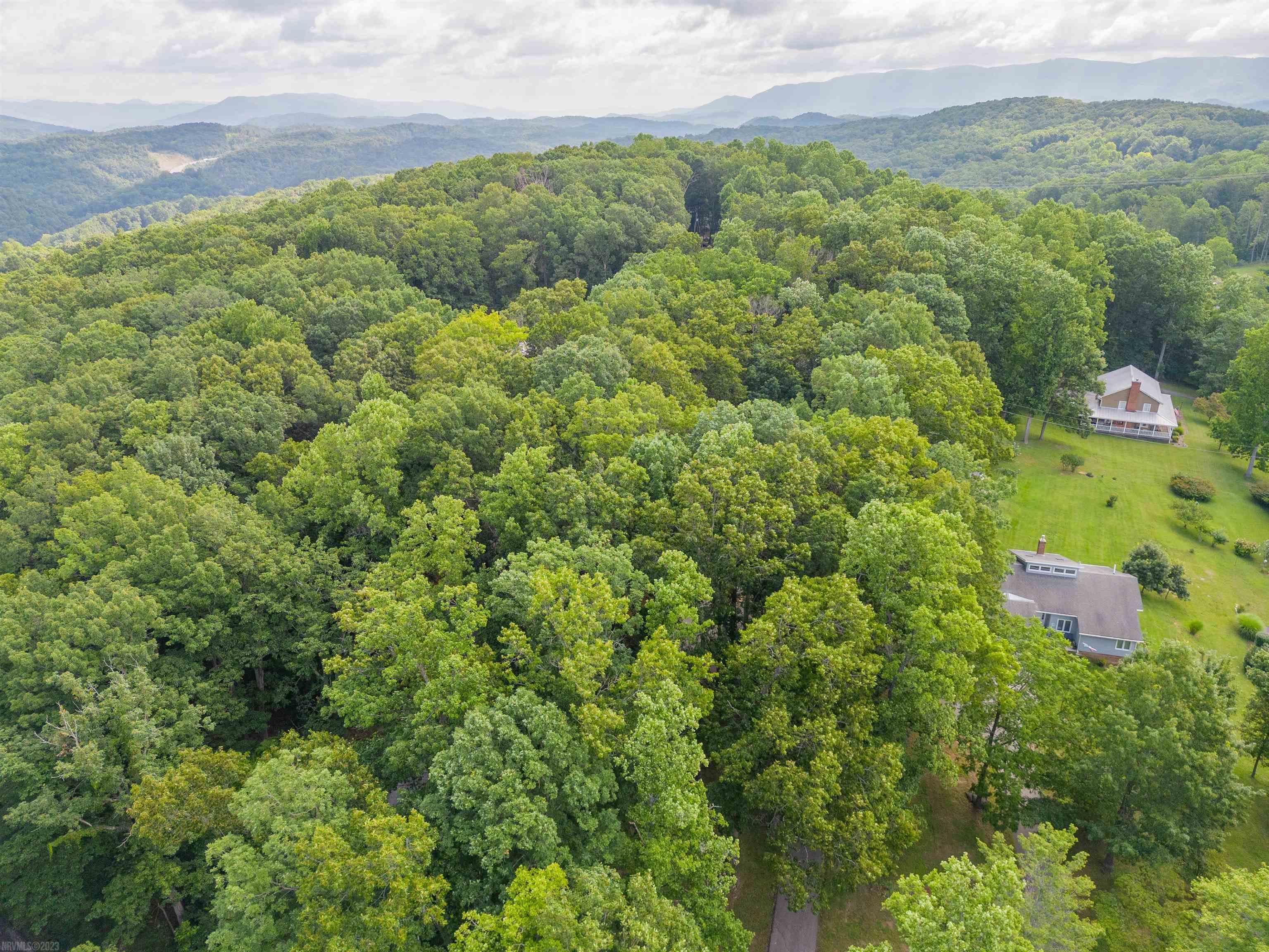 635 WHITE PINE Drive