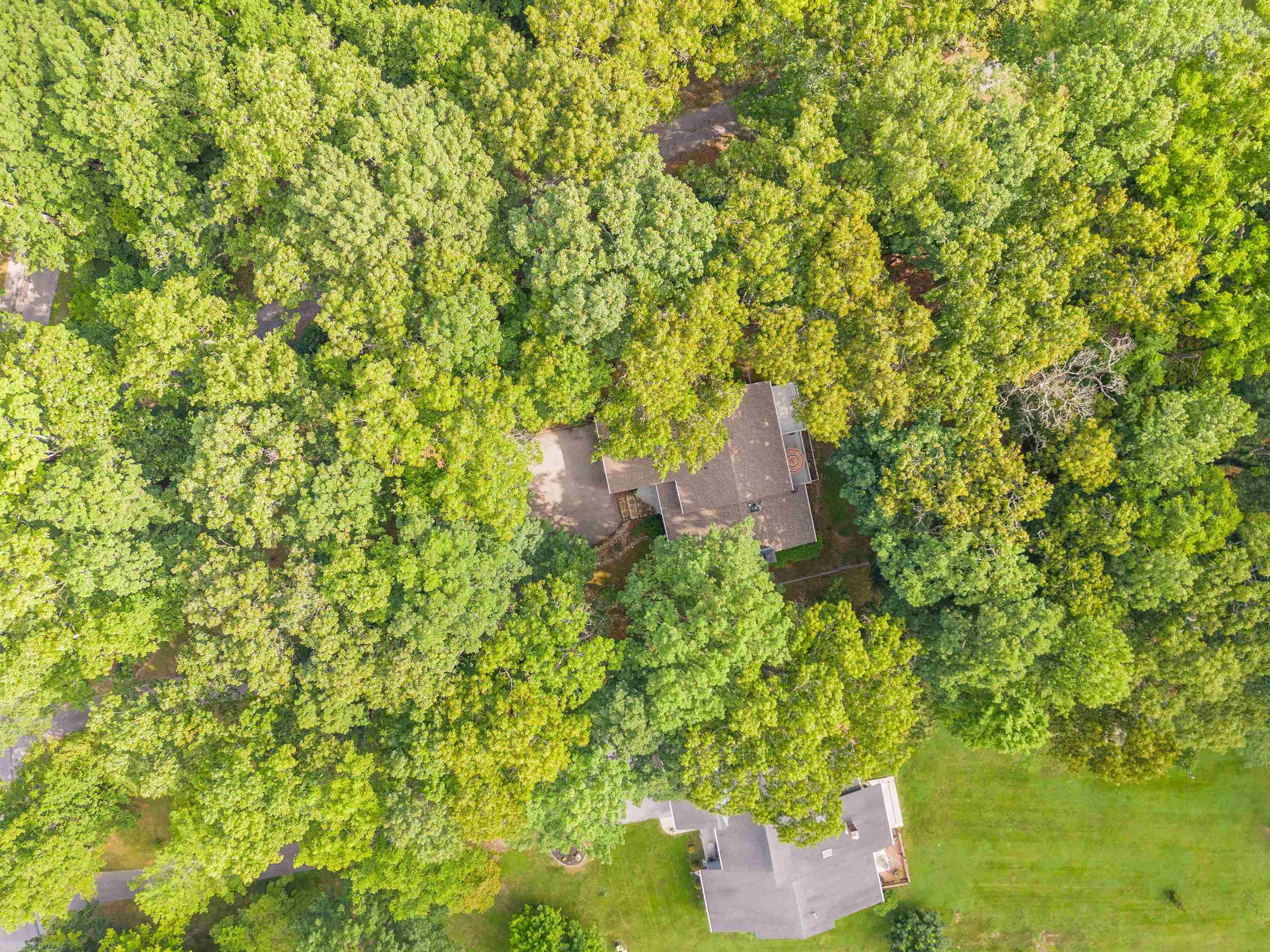 635 WHITE PINE Drive