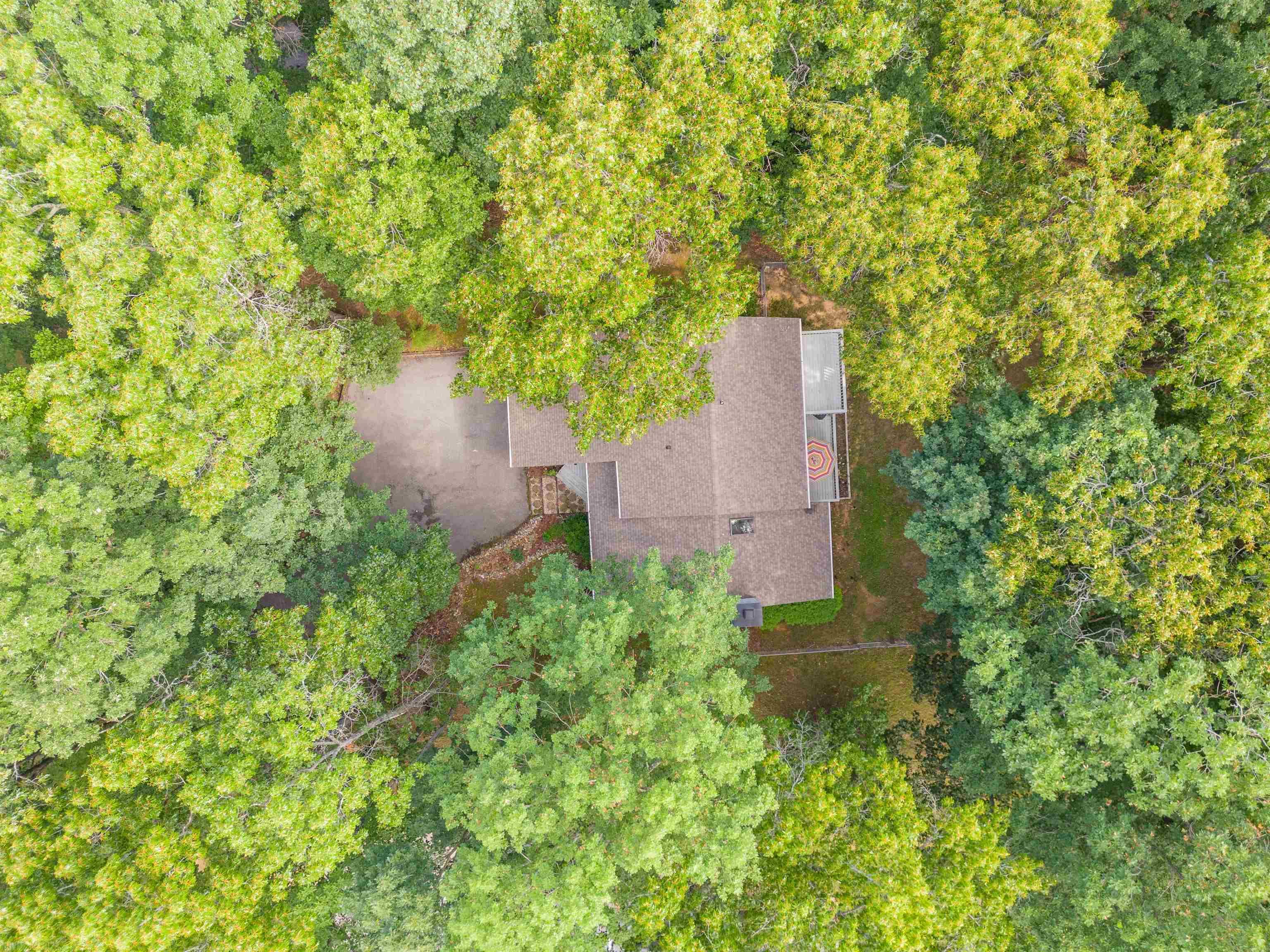 635 WHITE PINE Drive