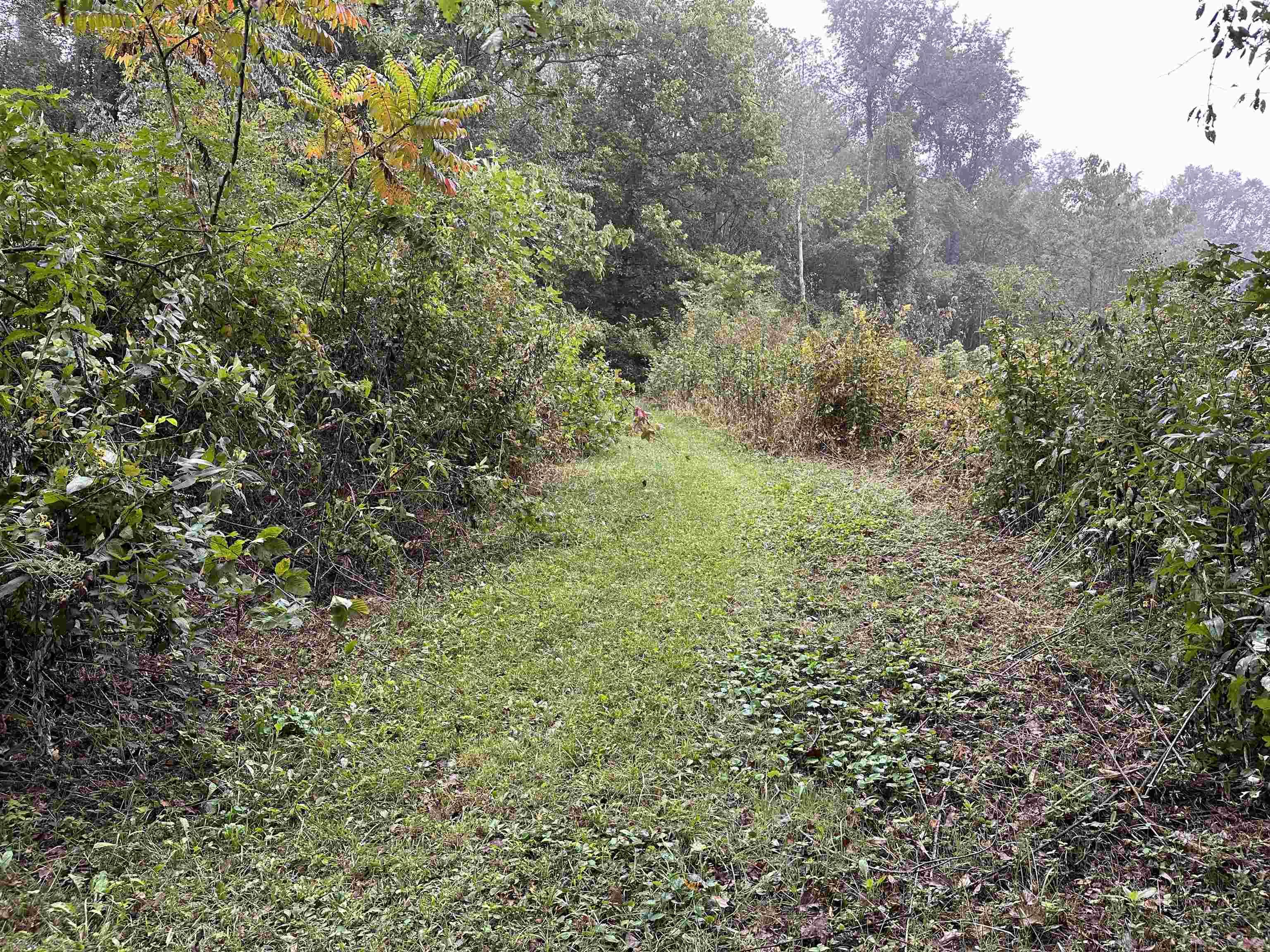 TBD CLENDENNIN Road