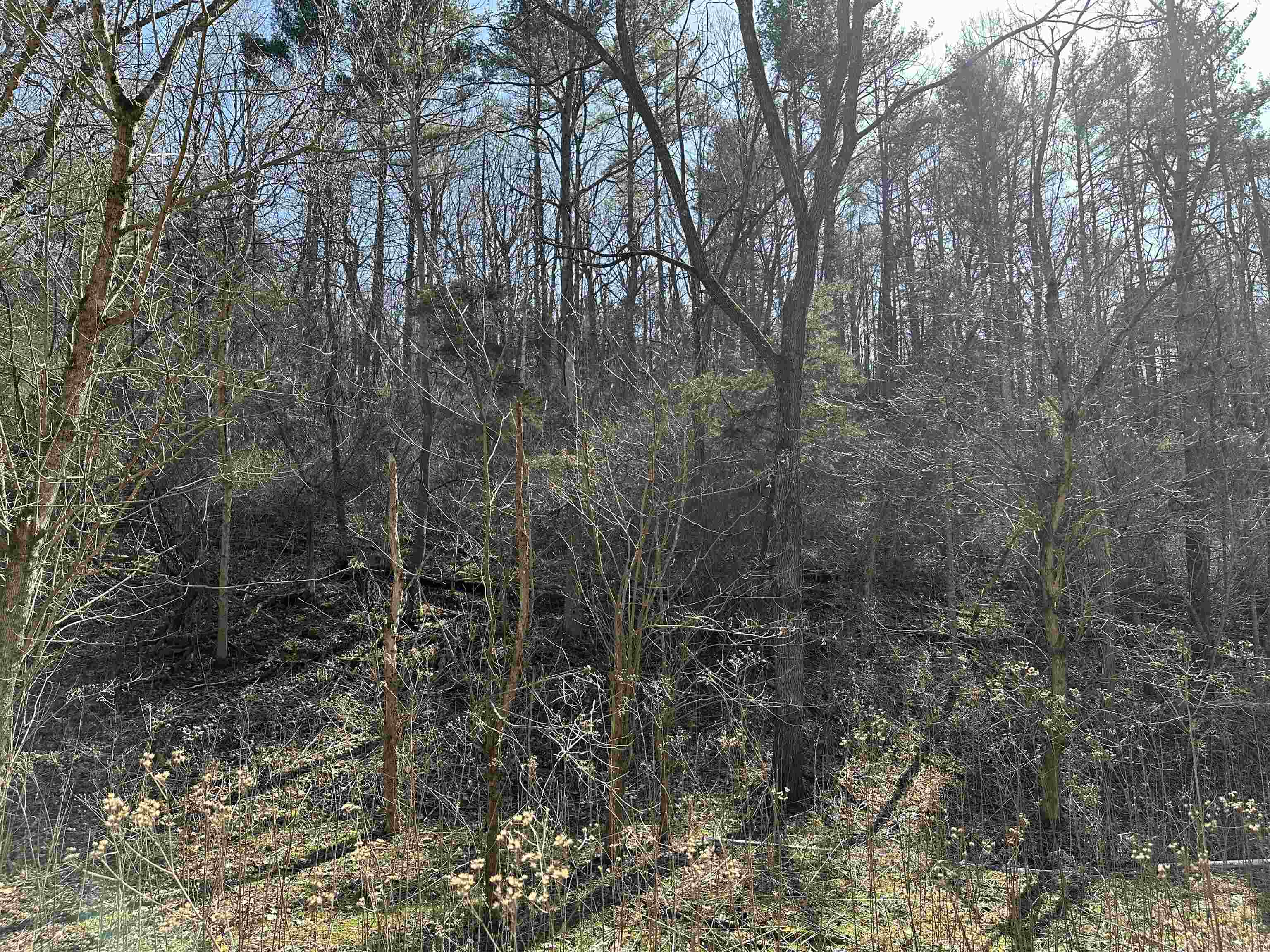 TBD WALKERS CREEK VLY Road