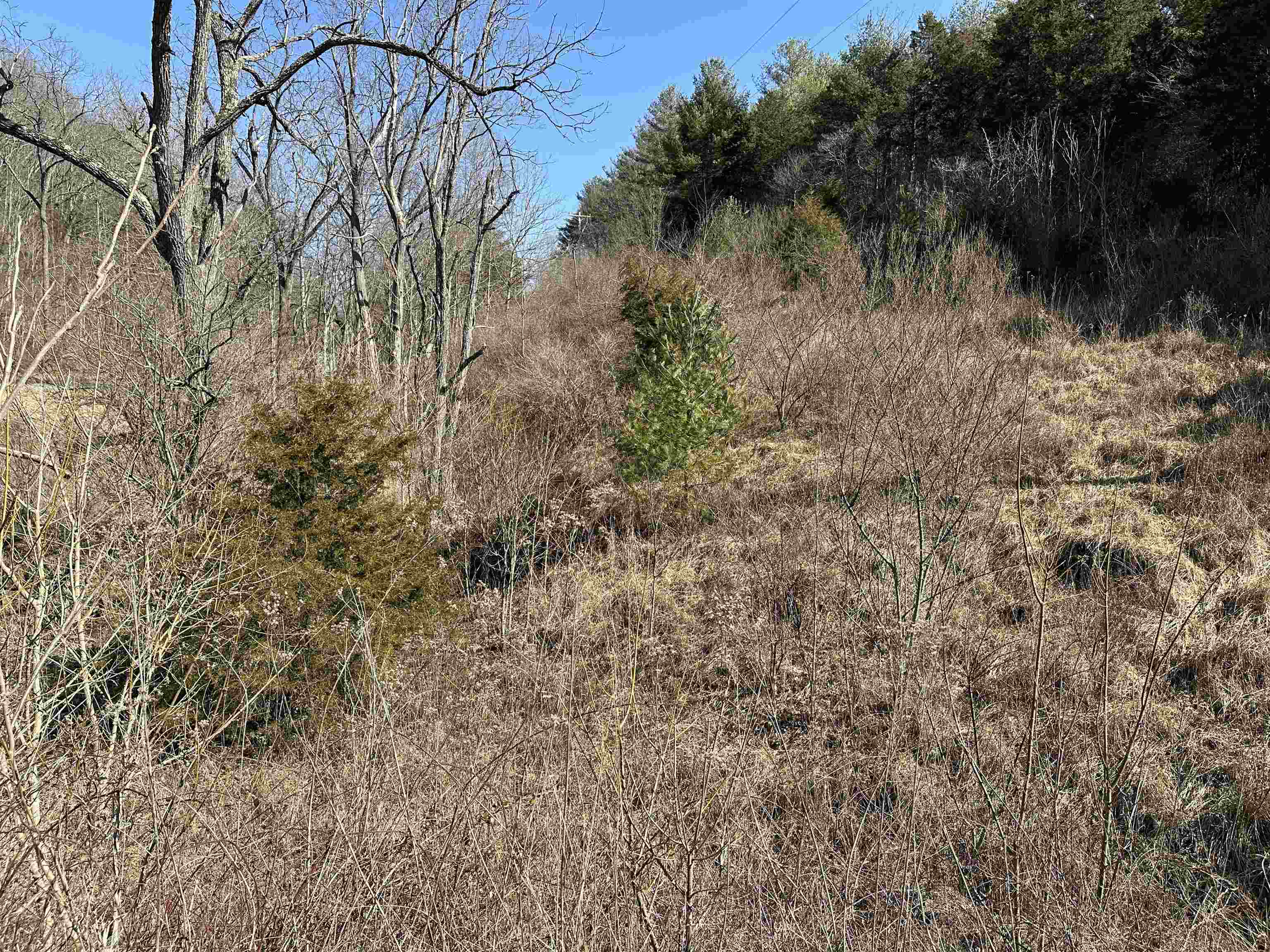TBD WALKERS CREEK VLY Road