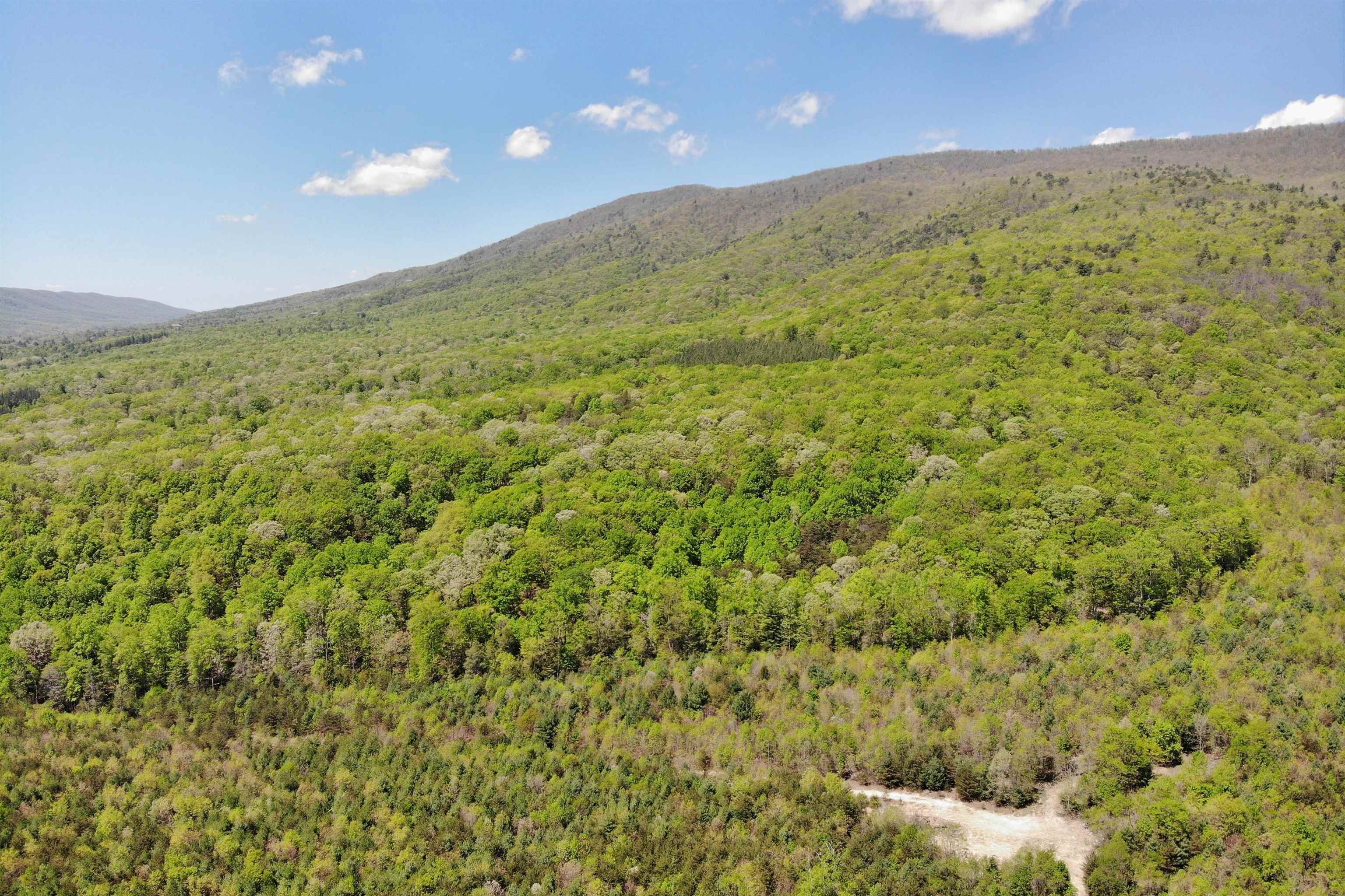 4536 Craig Creek Road