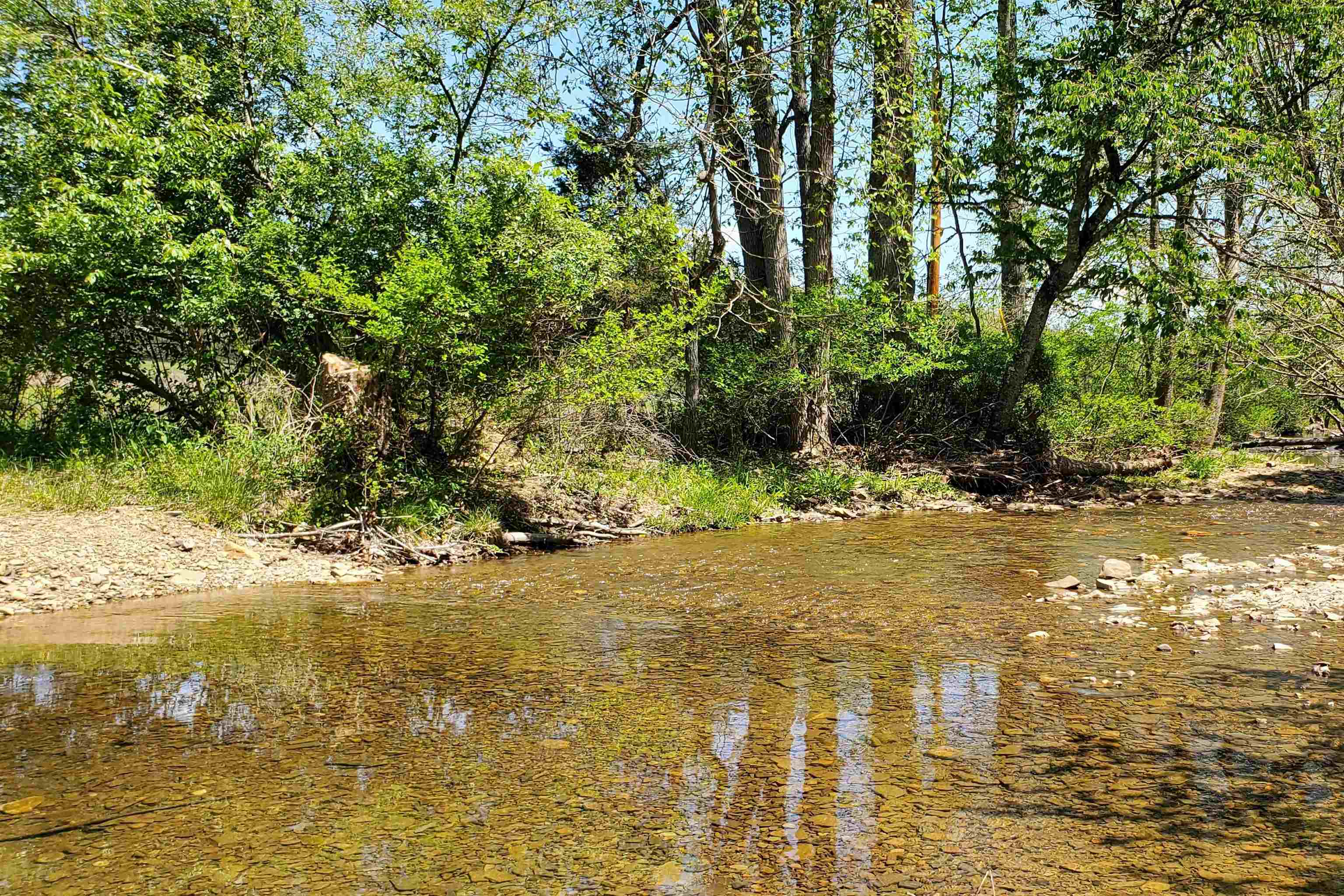 4536 Craig Creek Road