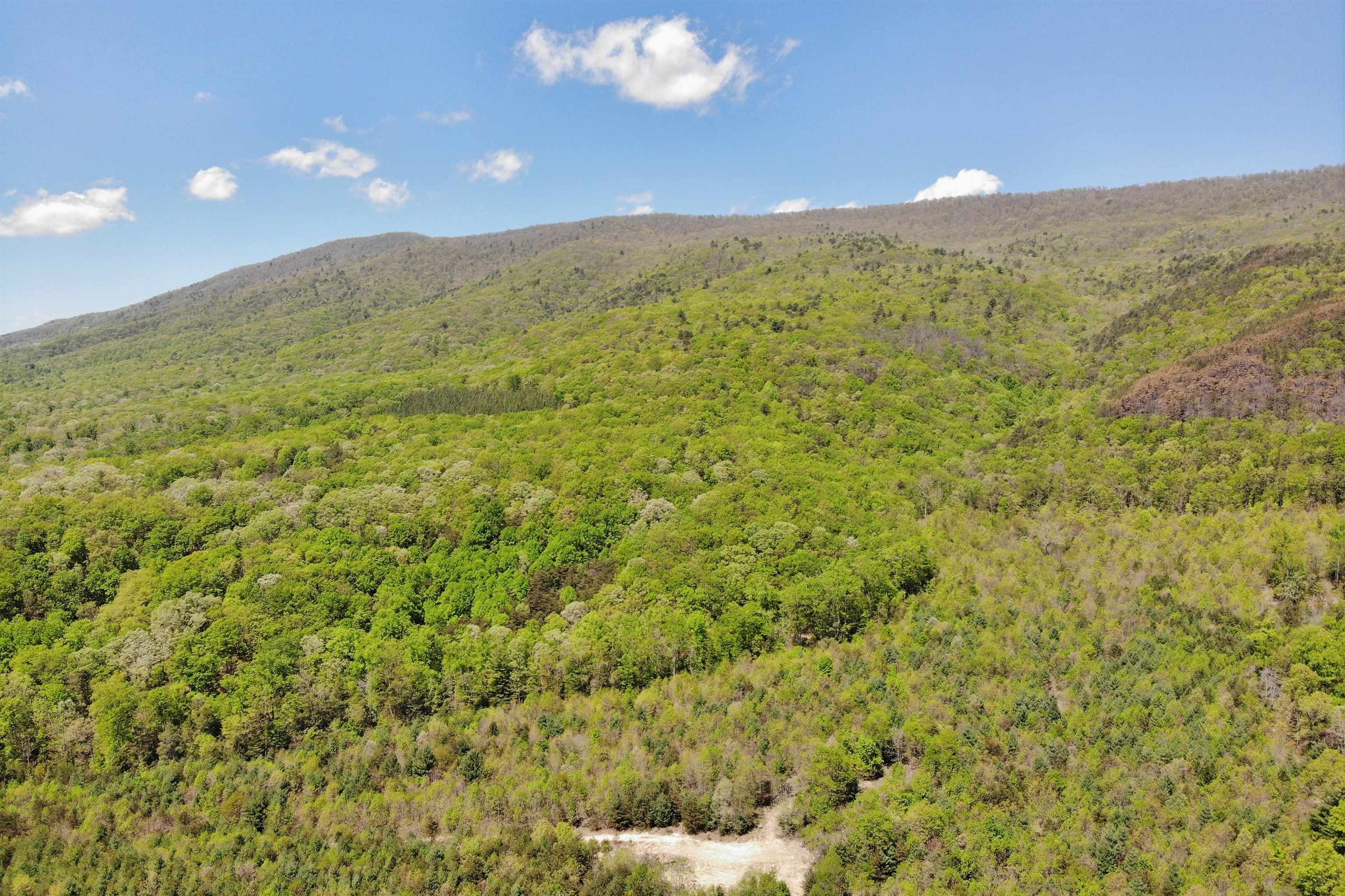 4536 Craig Creek Road