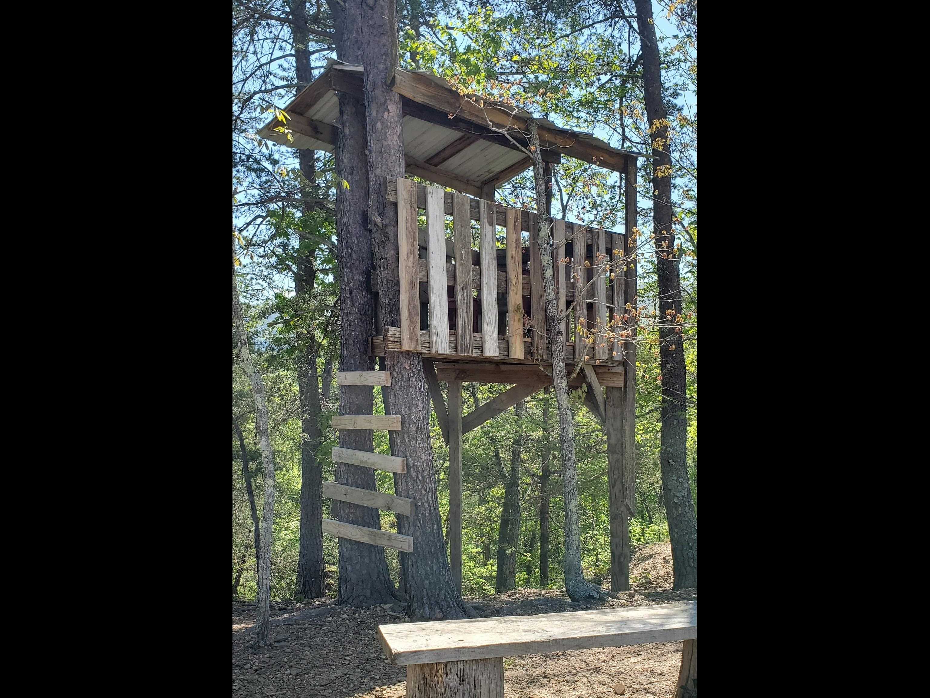 4536 Craig Creek Road