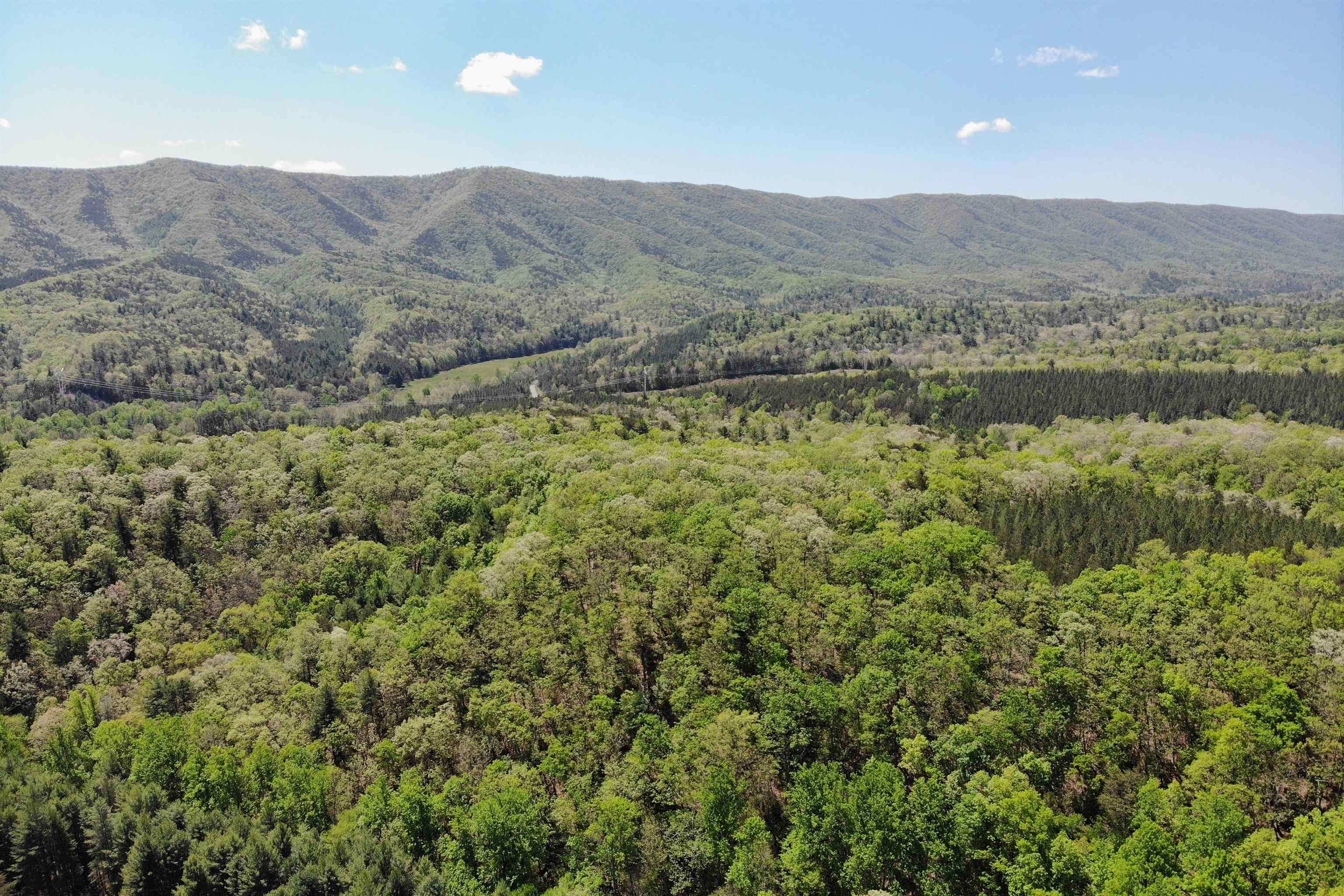 4536 Craig Creek Road