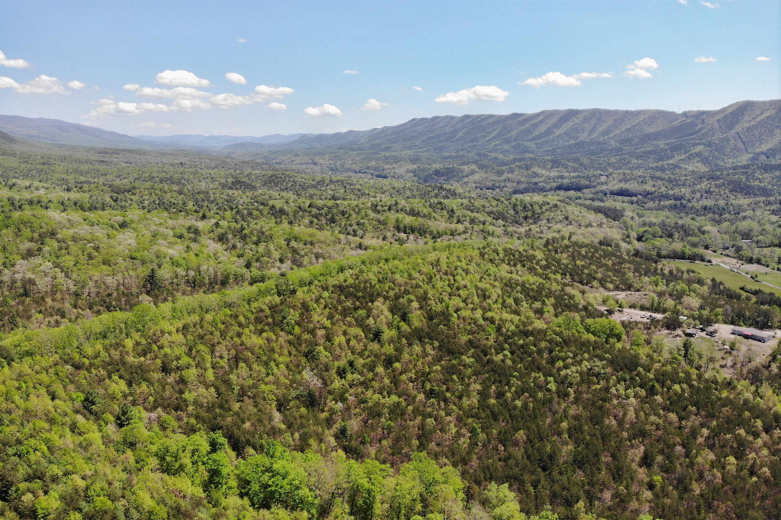 4536 Craig Creek Road