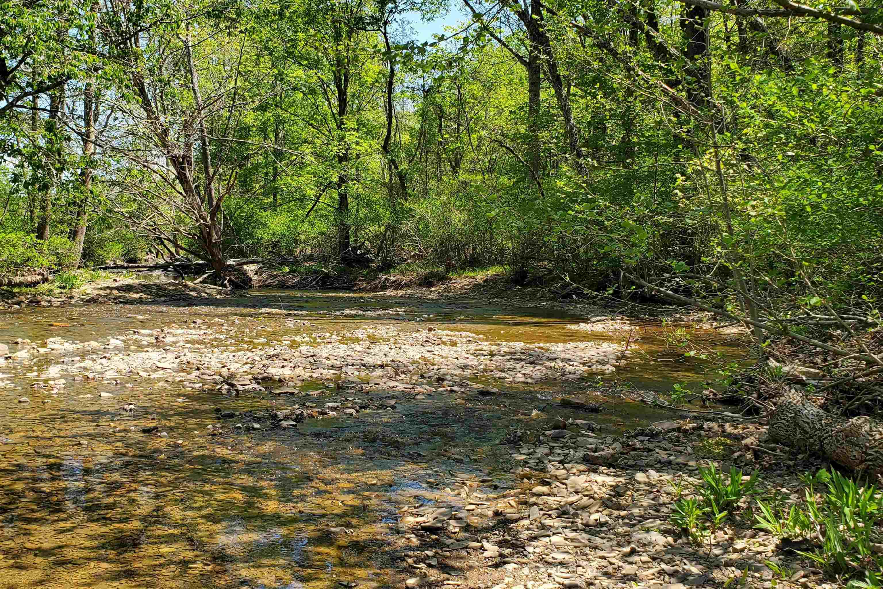 4536 Craig Creek Road