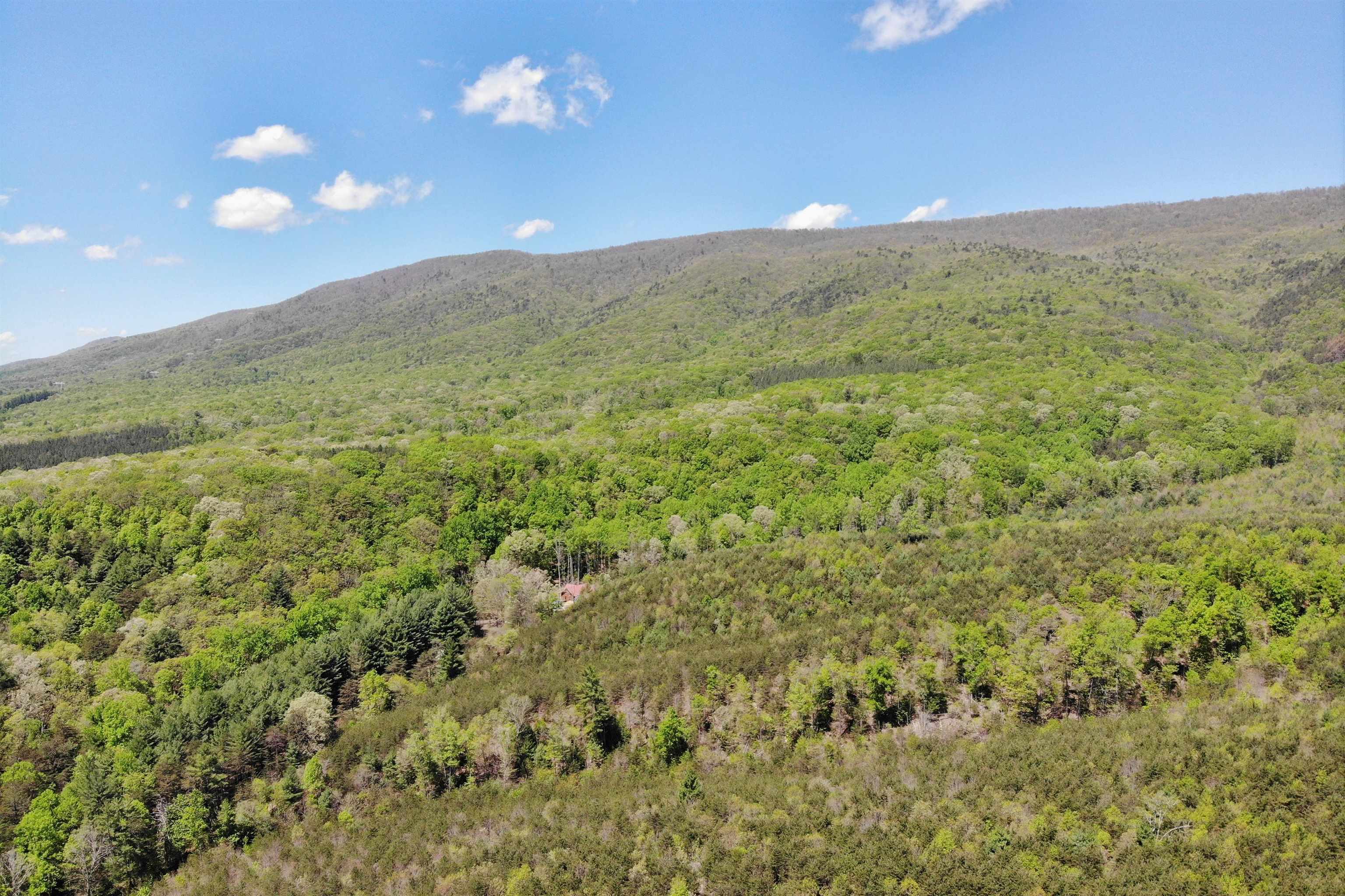 4536 Craig Creek Road