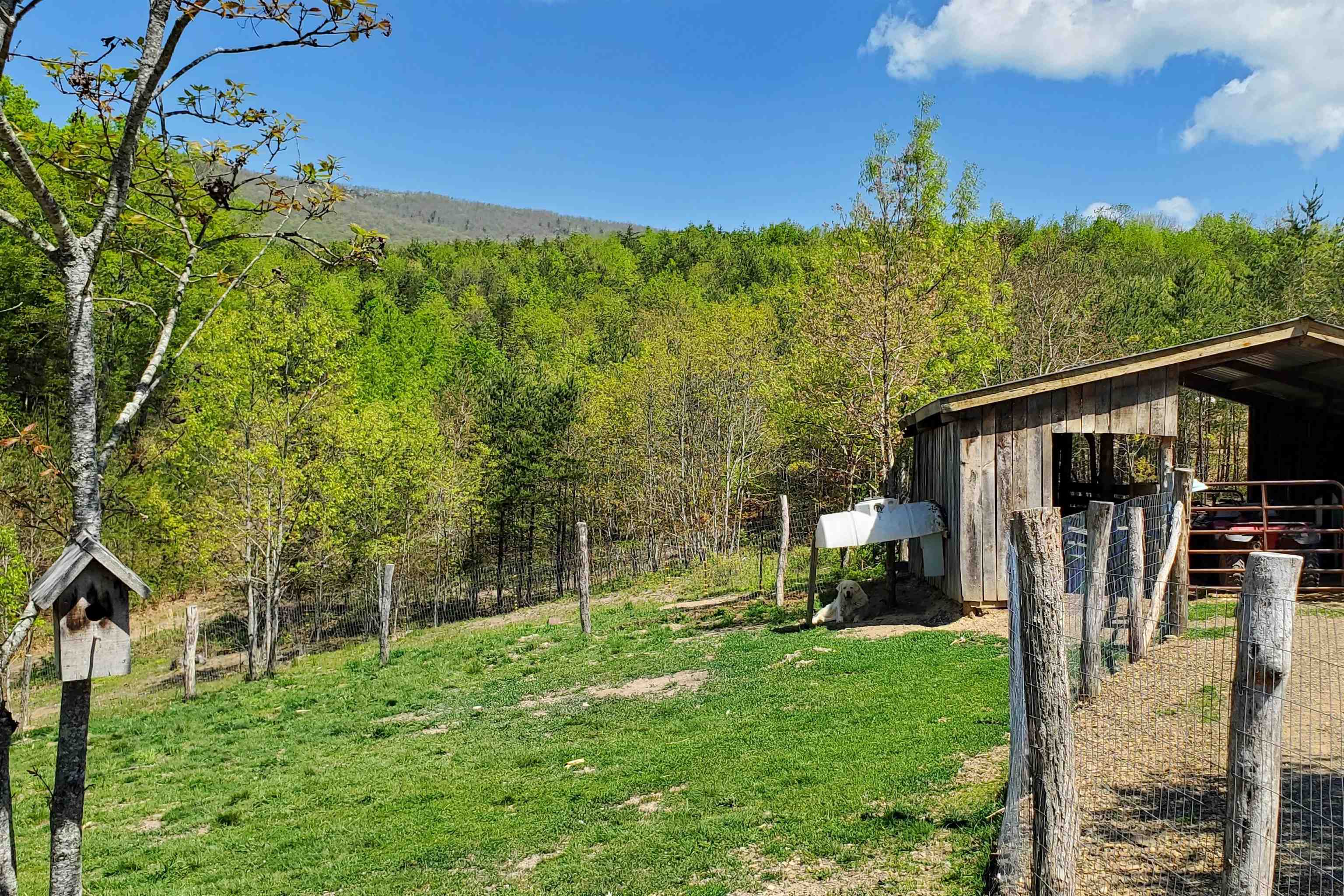 4536 Craig Creek Road