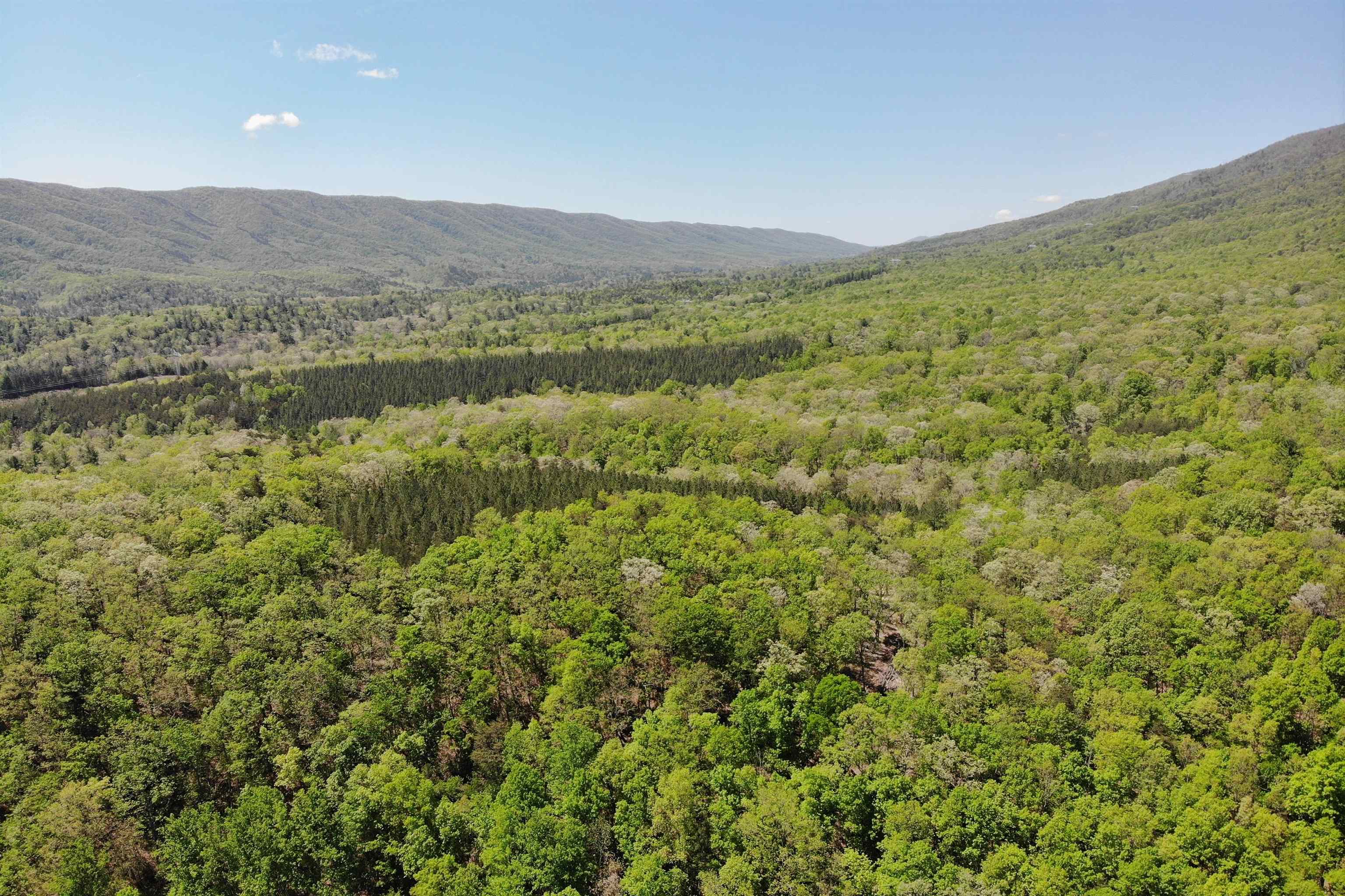 4536 Craig Creek Road