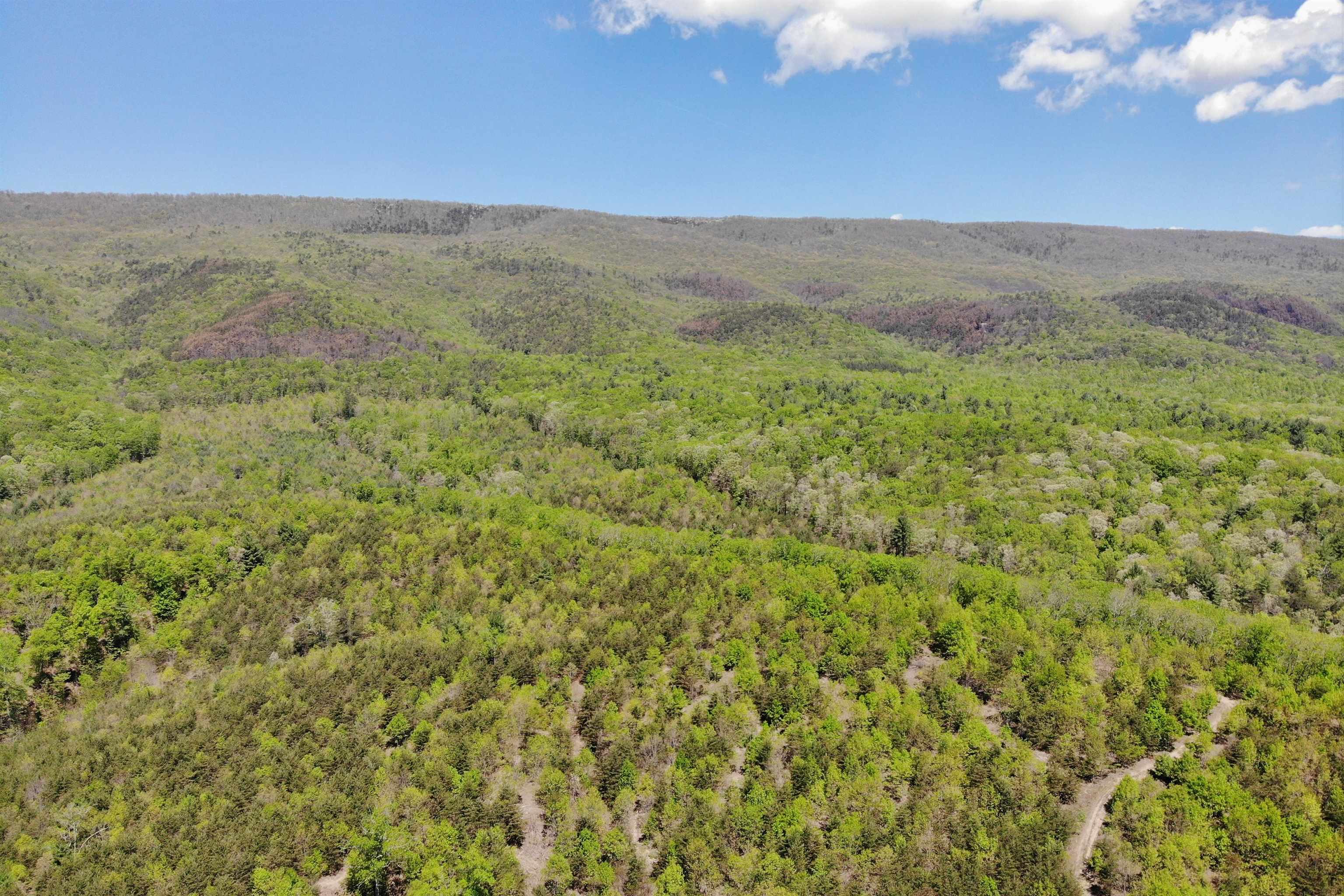 4536 Craig Creek Road