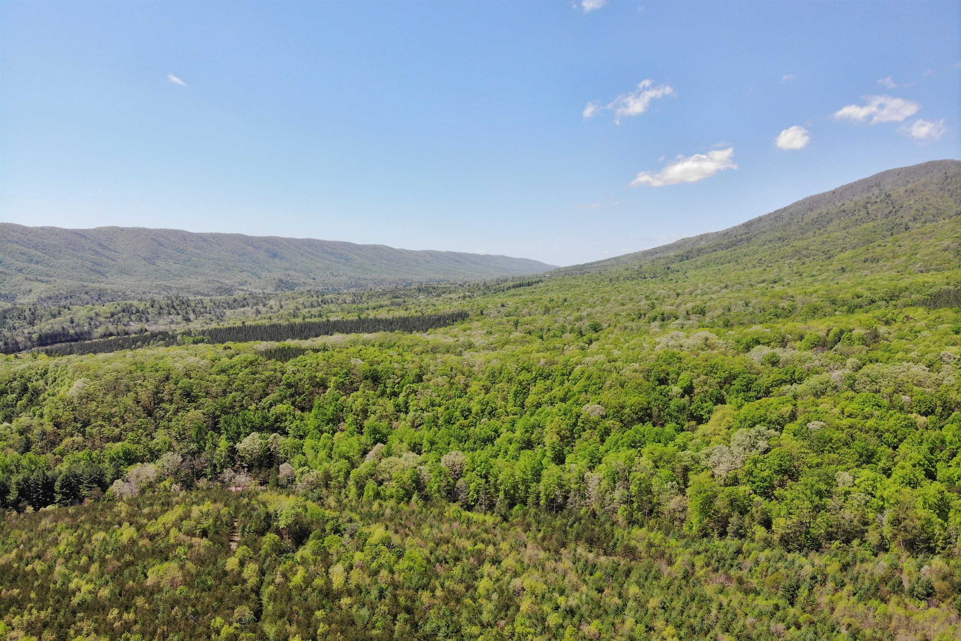 4536 Craig Creek Road