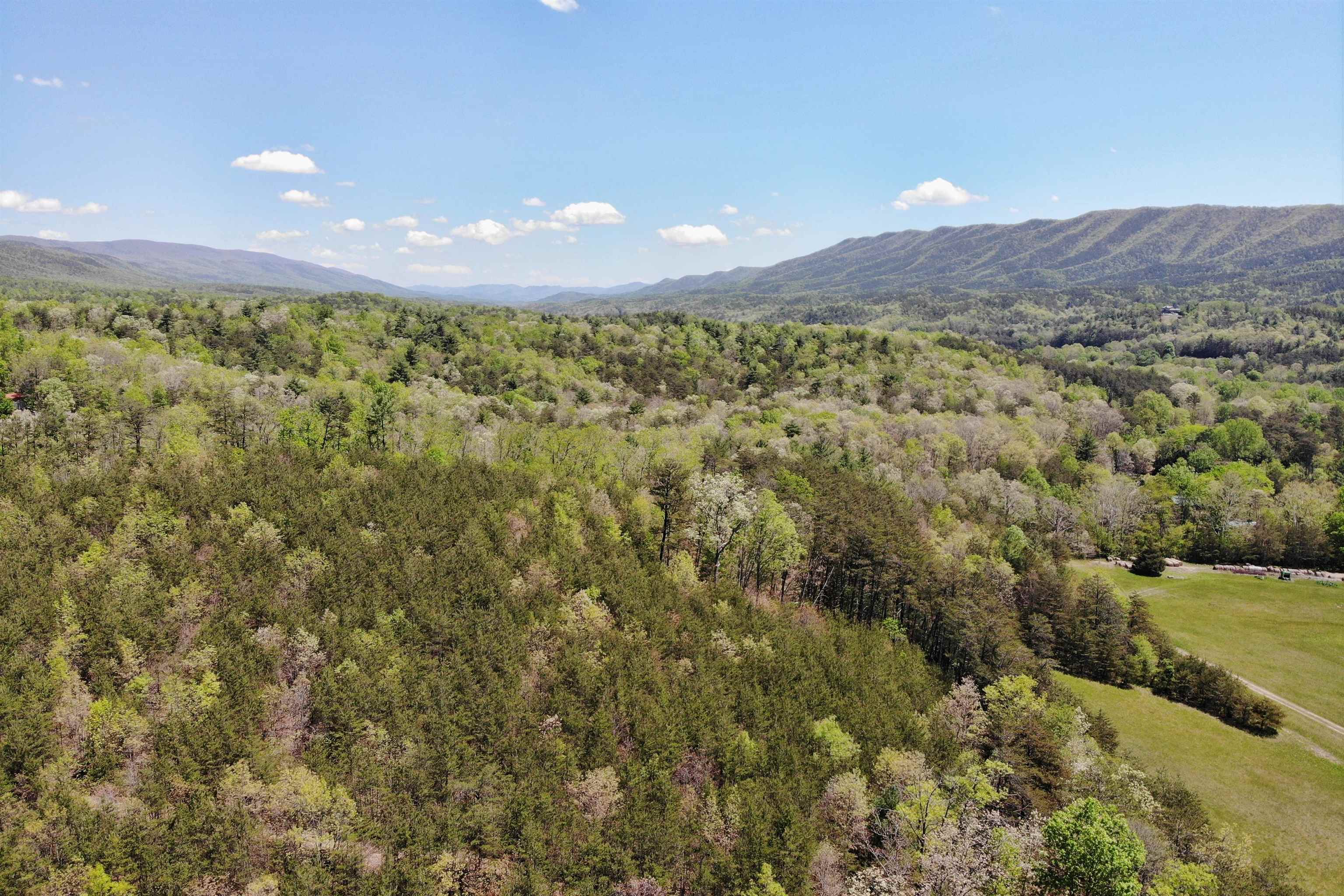 4536 Craig Creek Road