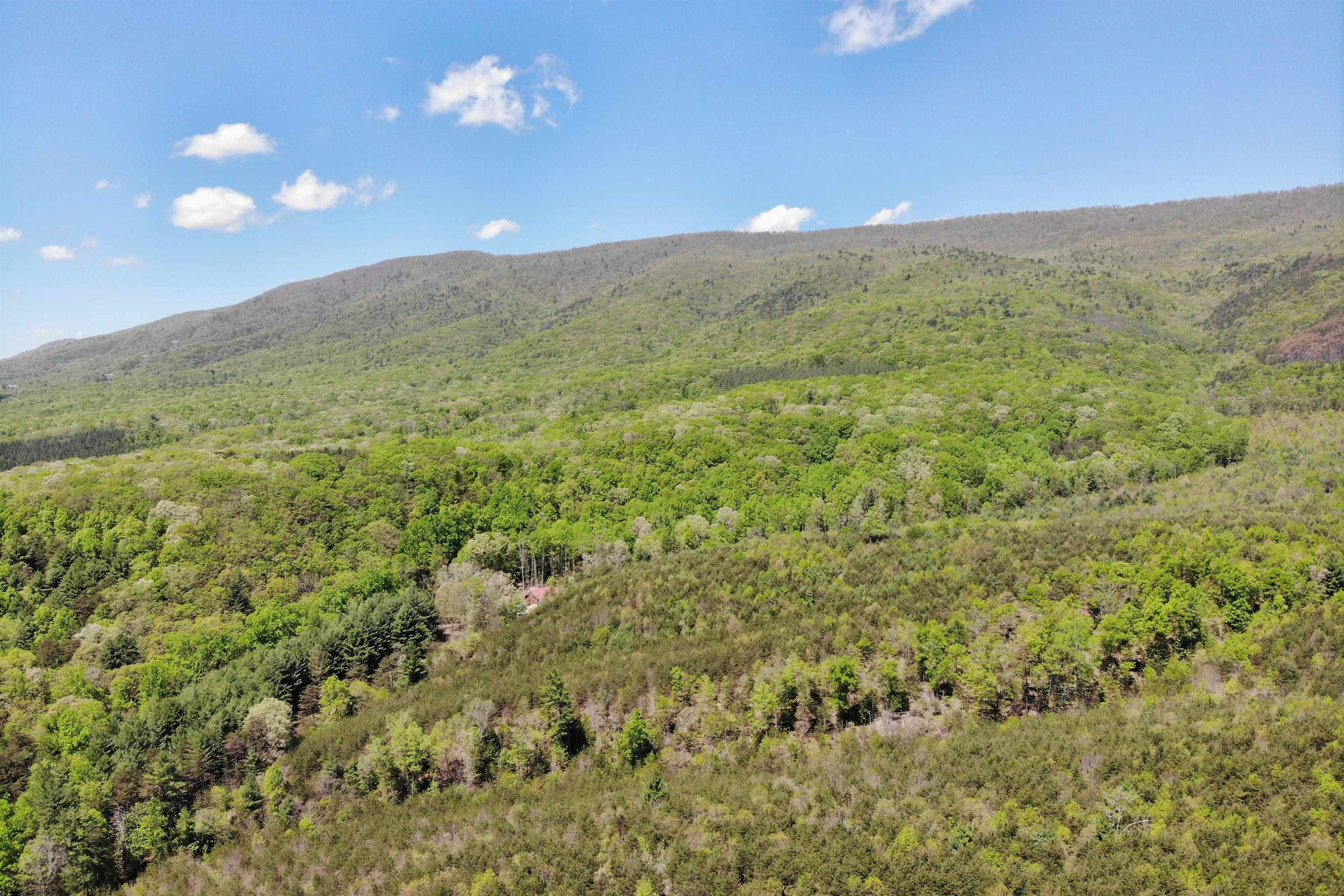 4536 Craig Creek Road