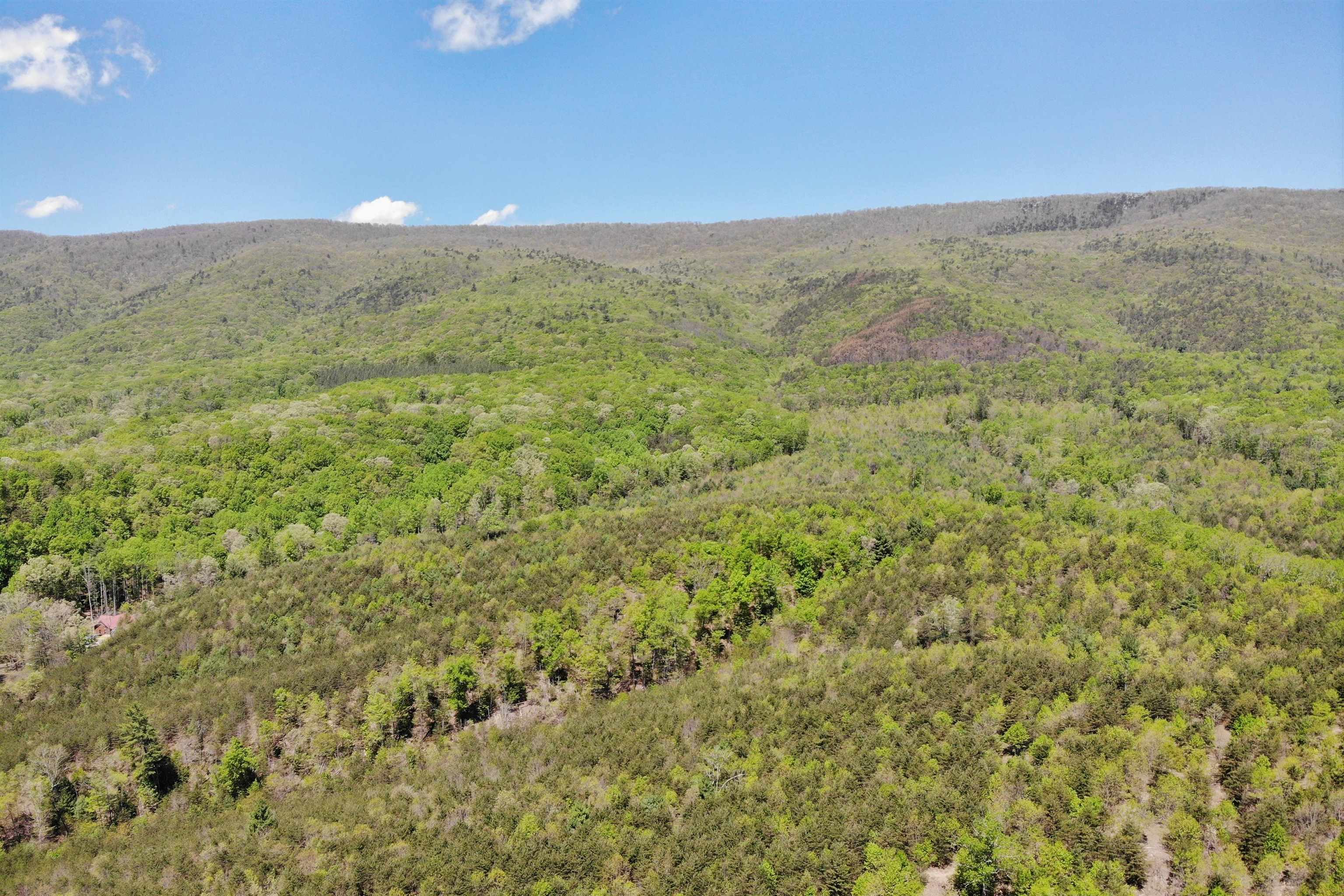 4536 Craig Creek Road