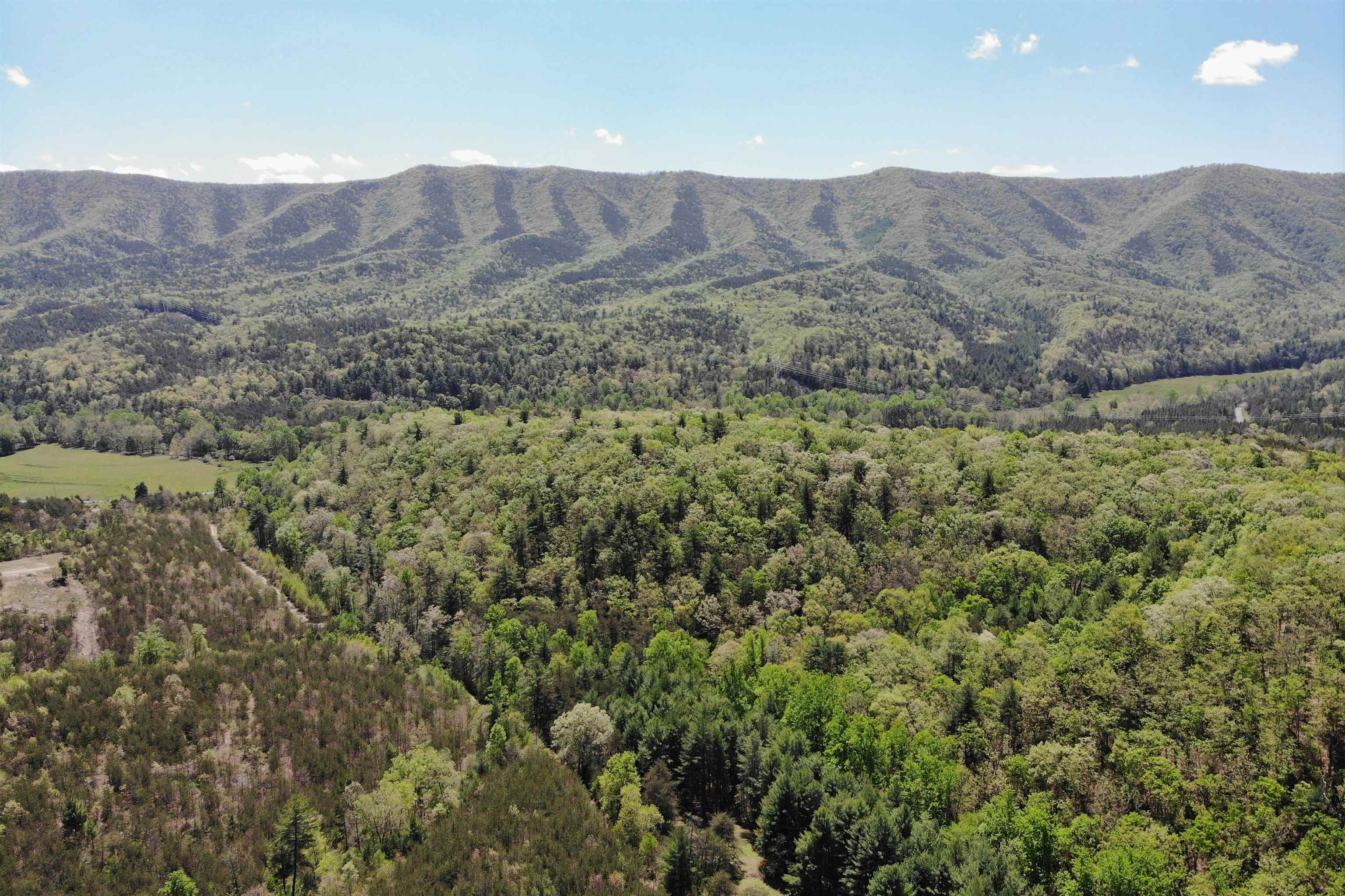 4536 Craig Creek Road